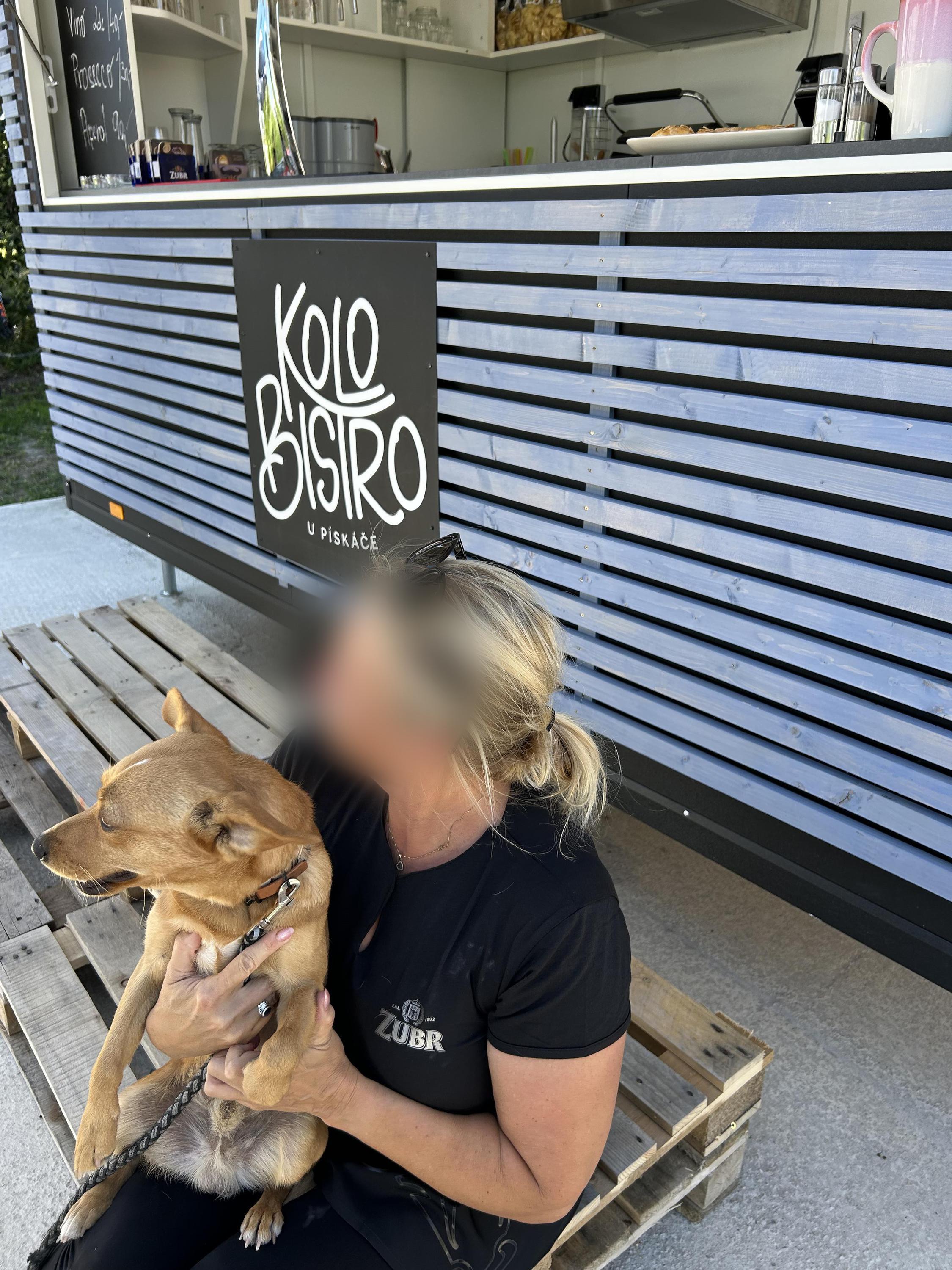 KOLO Bistro U Pískáče foto 5