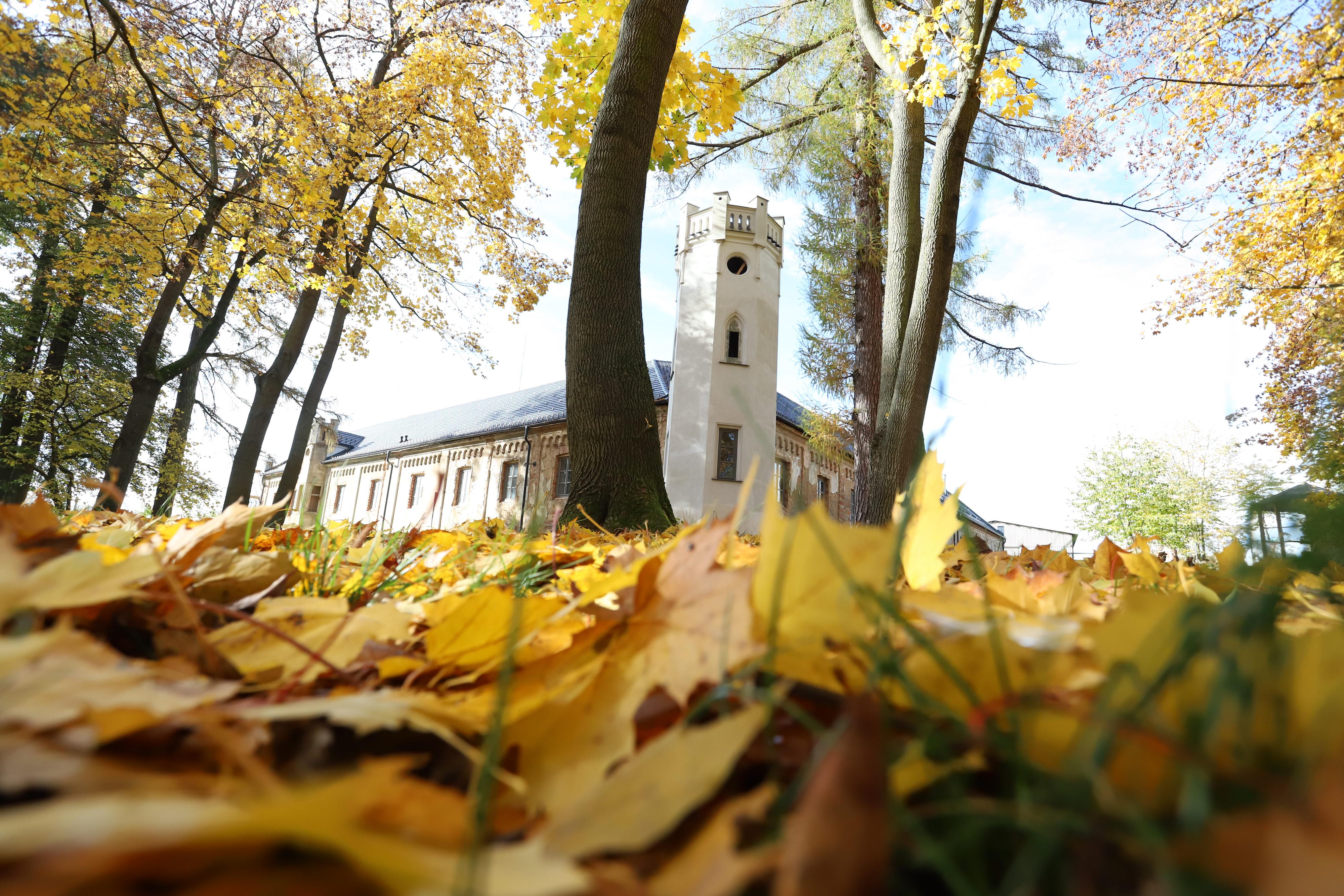 Zámek Kvasetice foto 2