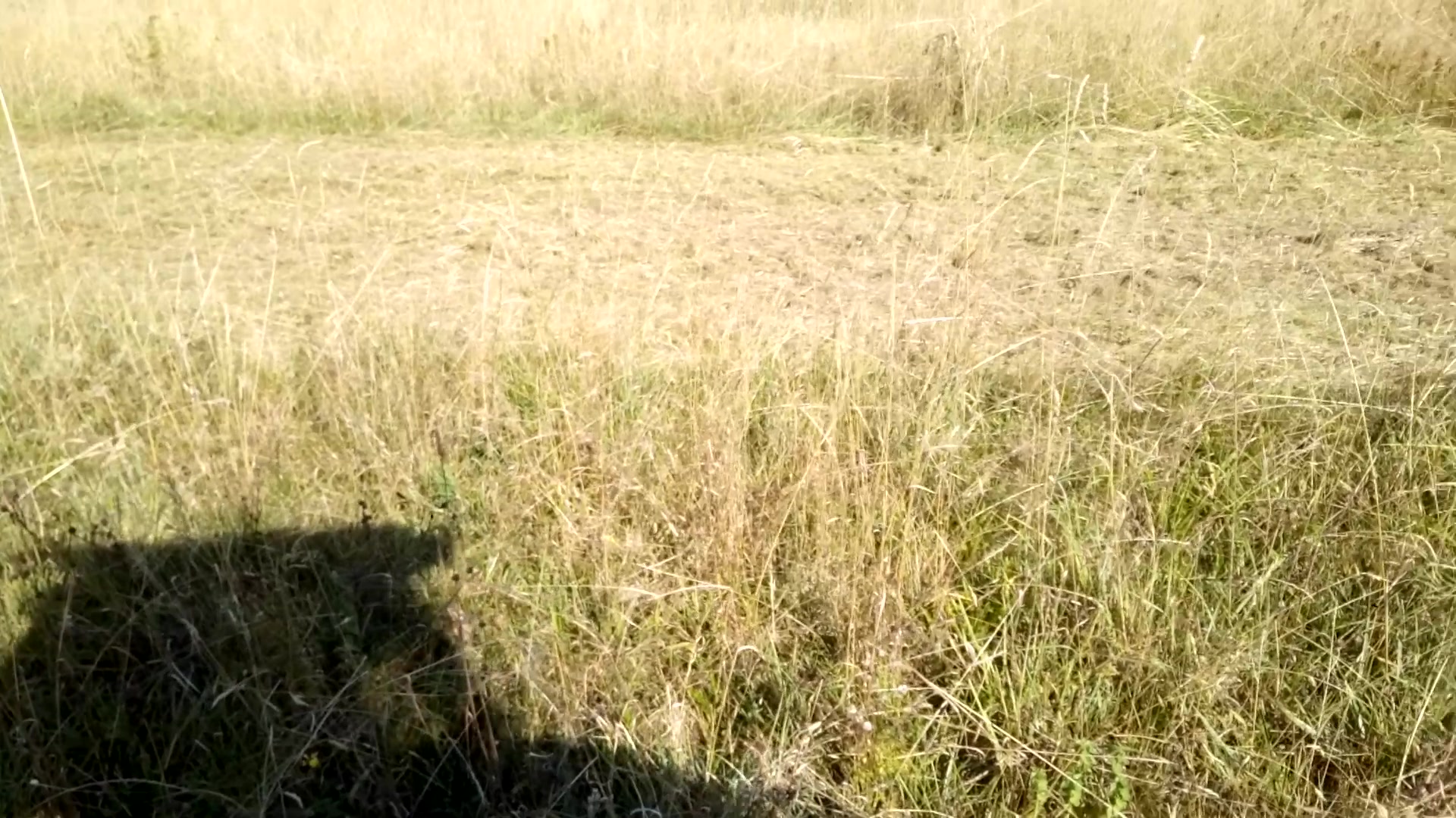 Údržba zeleně-Šemík-Service foto 2 (náhled videa)
