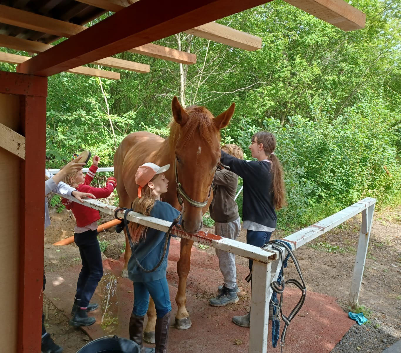 Soboty u koní - šestihodinový program pro děti