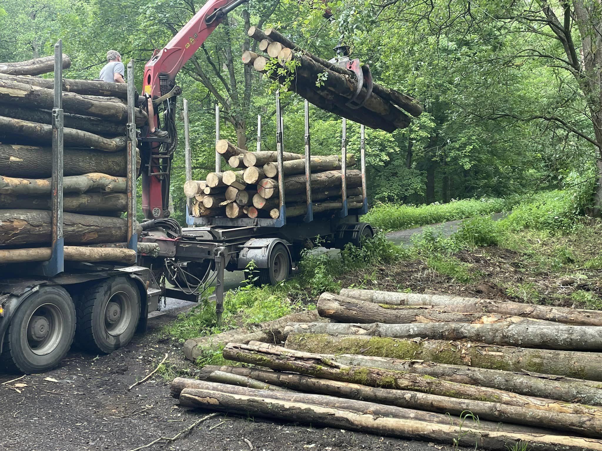 Lesní a parkové služby Chvojkovi foto 1