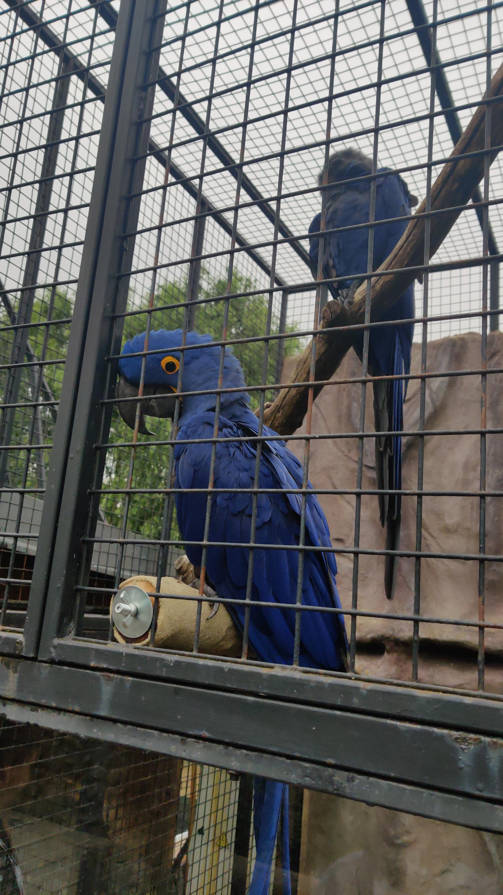 Restaurace Mezi Lány - Motel Grádo foto 2