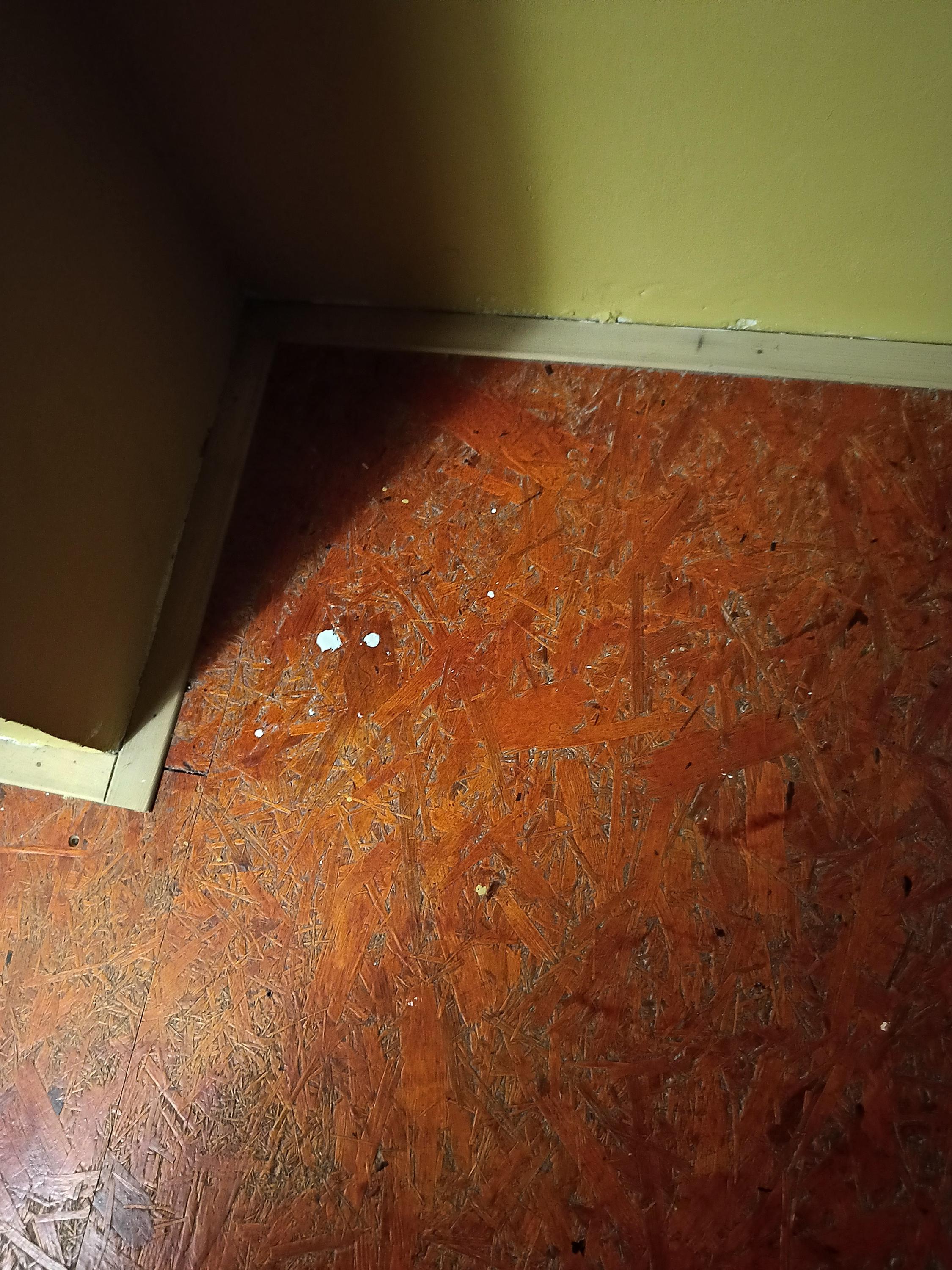 Malířské a lakýrnické práce Jiří Chocholatý foto 6