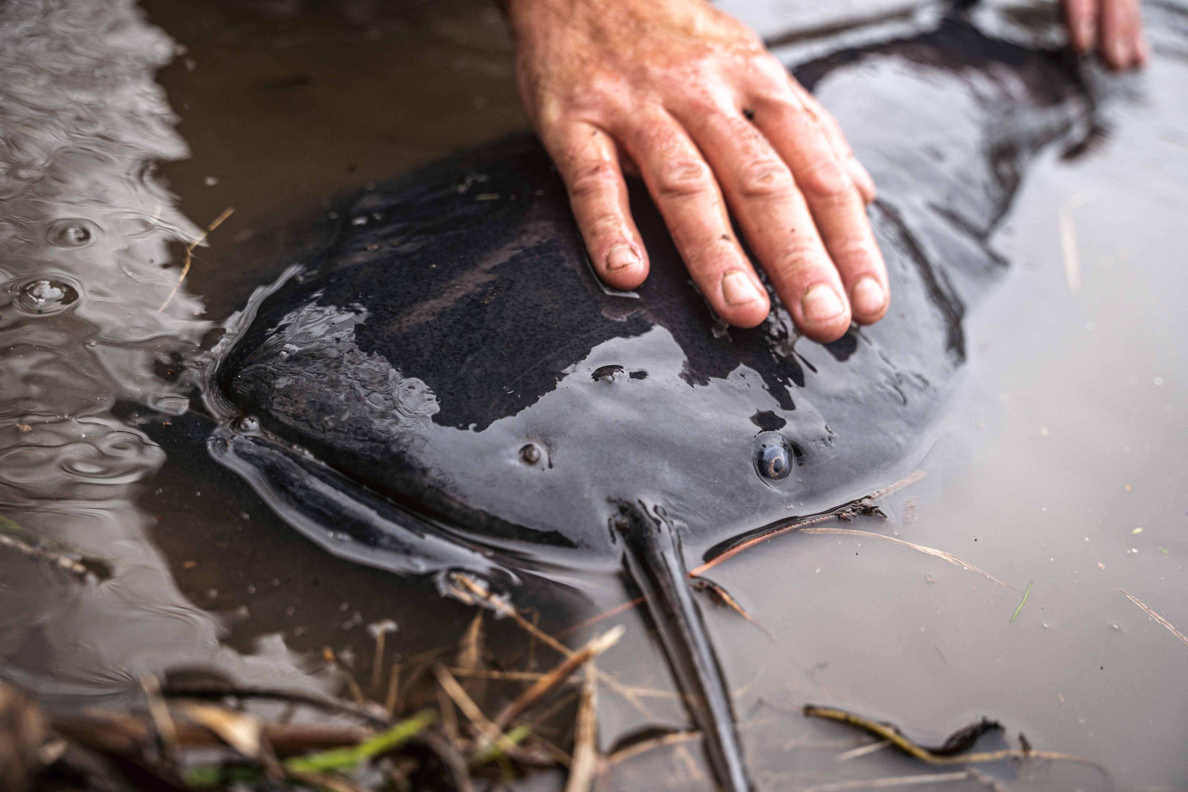 VAGNER Fishing foto 2