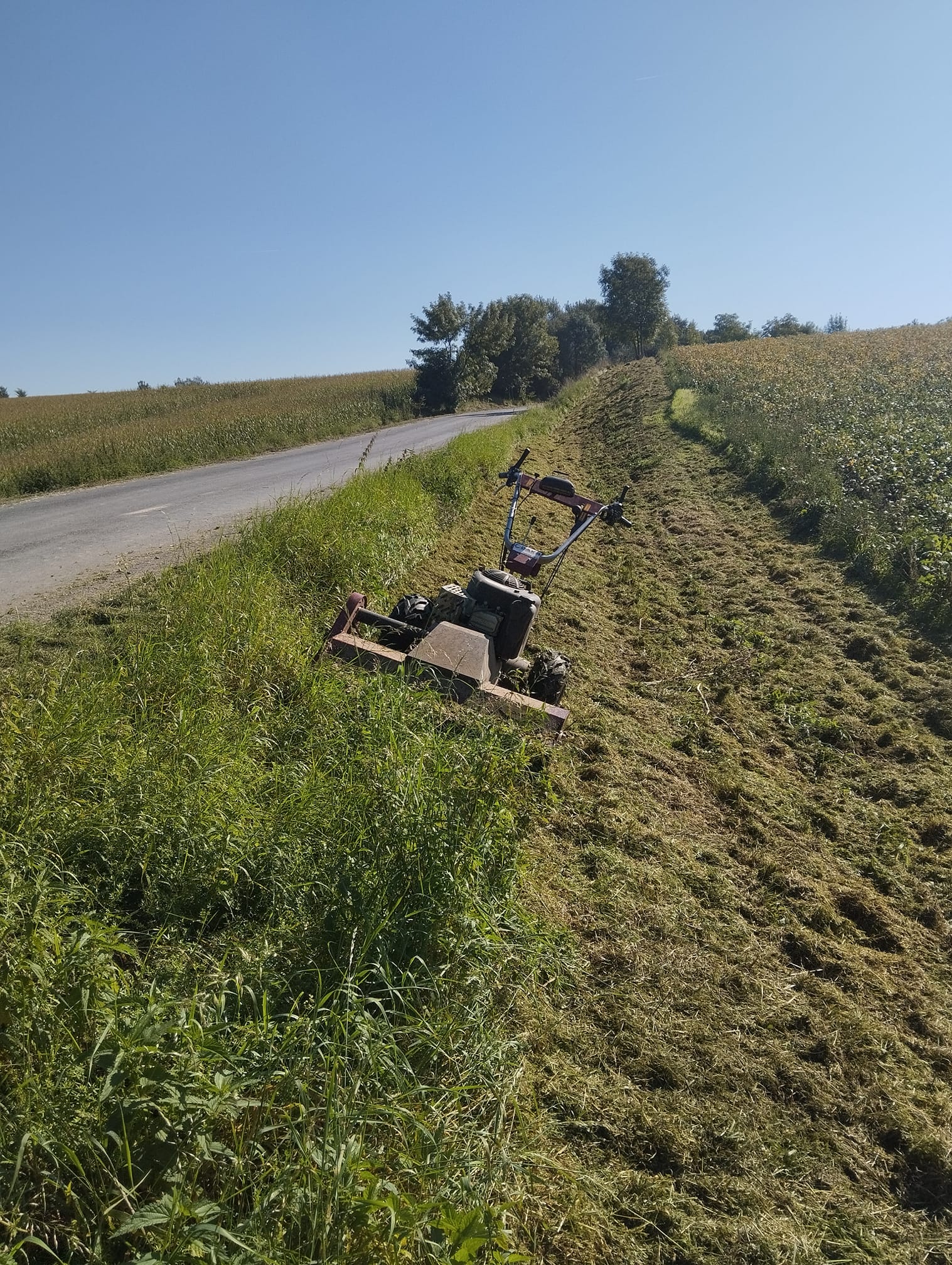 Lesní práce Zdenek Pokusa foto 2