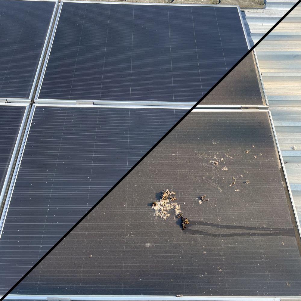 Saubersolar foto 4