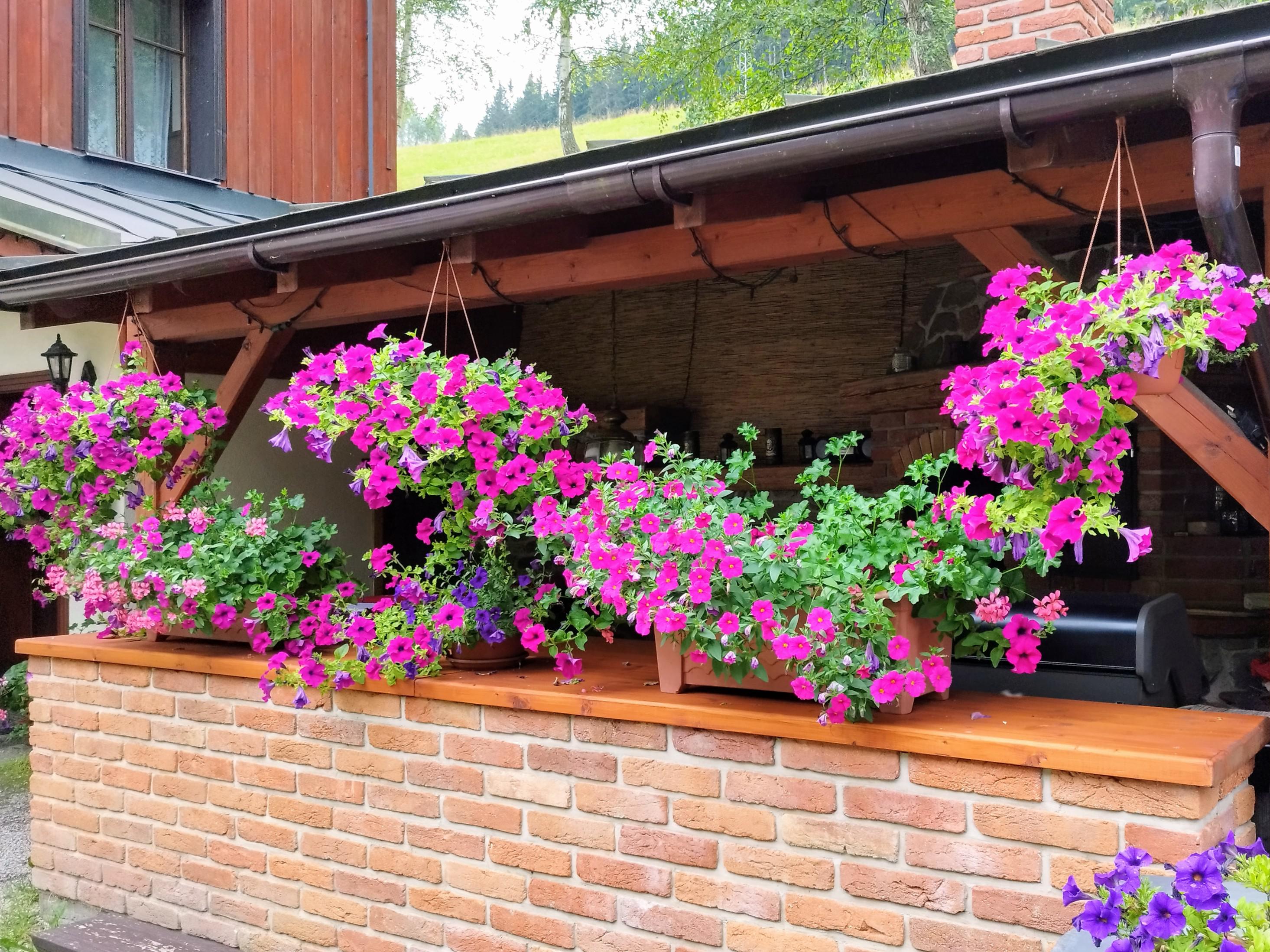 Pension Starý mlýn foto 6