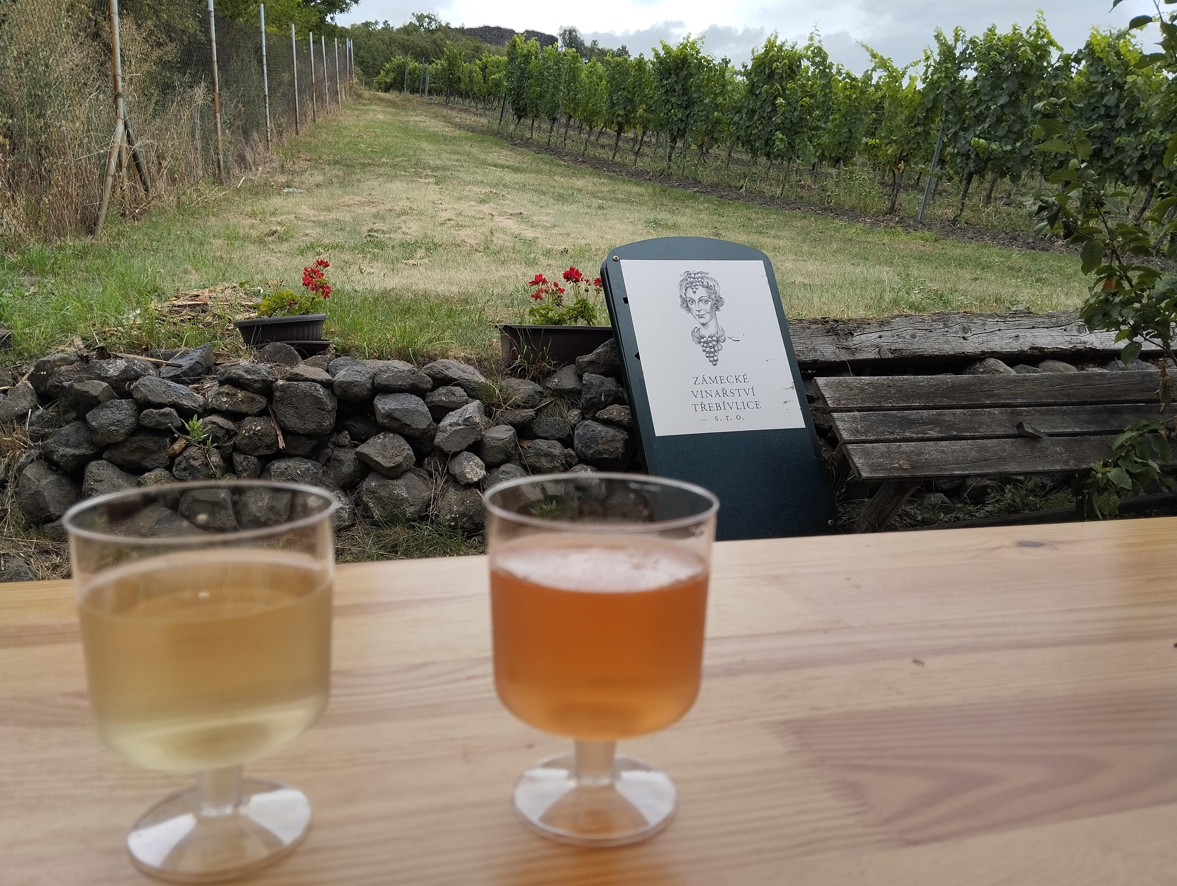 Stánek s občerstvením - Zámecké vinařství JOHANN W