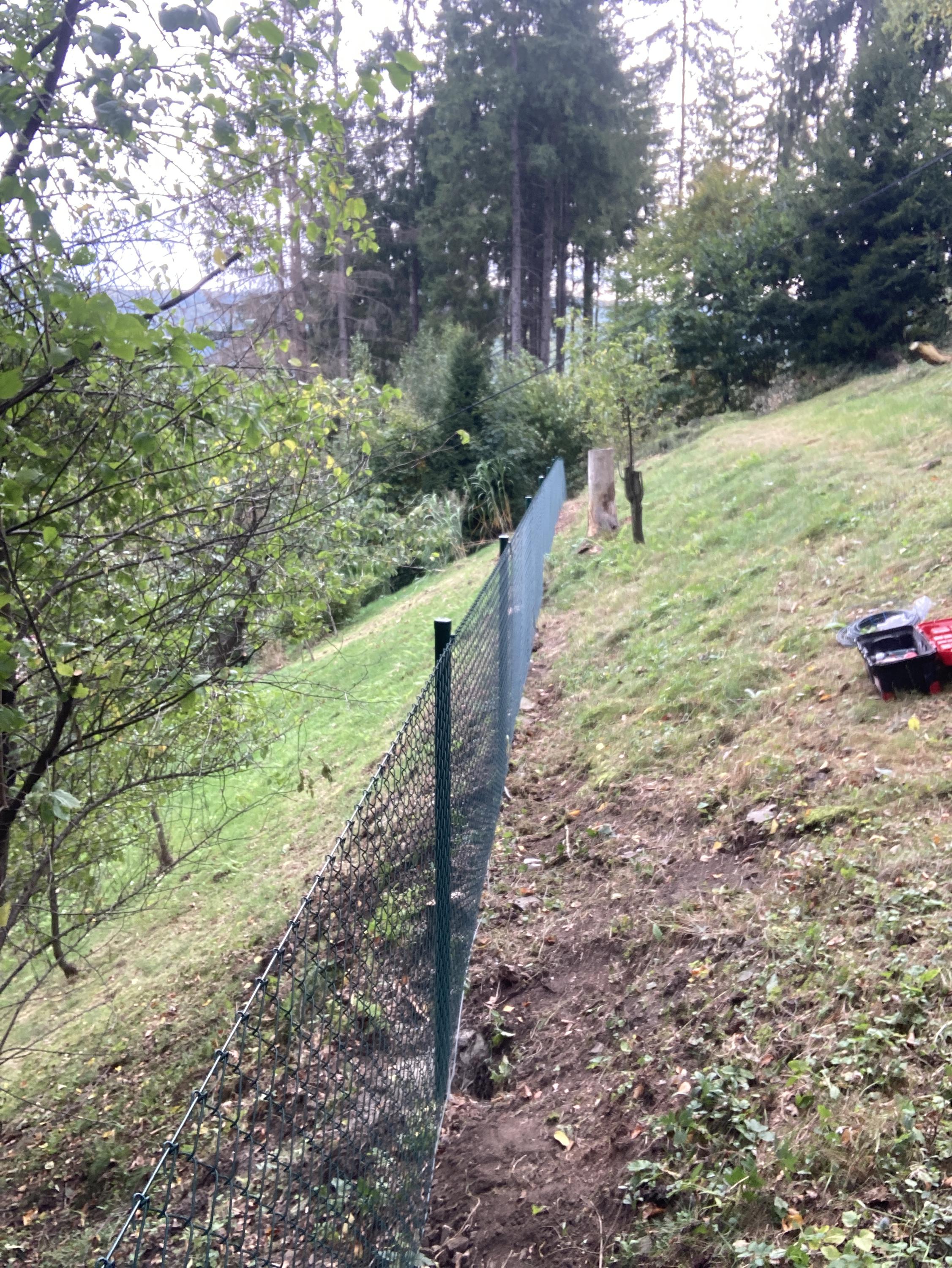 Tomáš Kovács foto 3