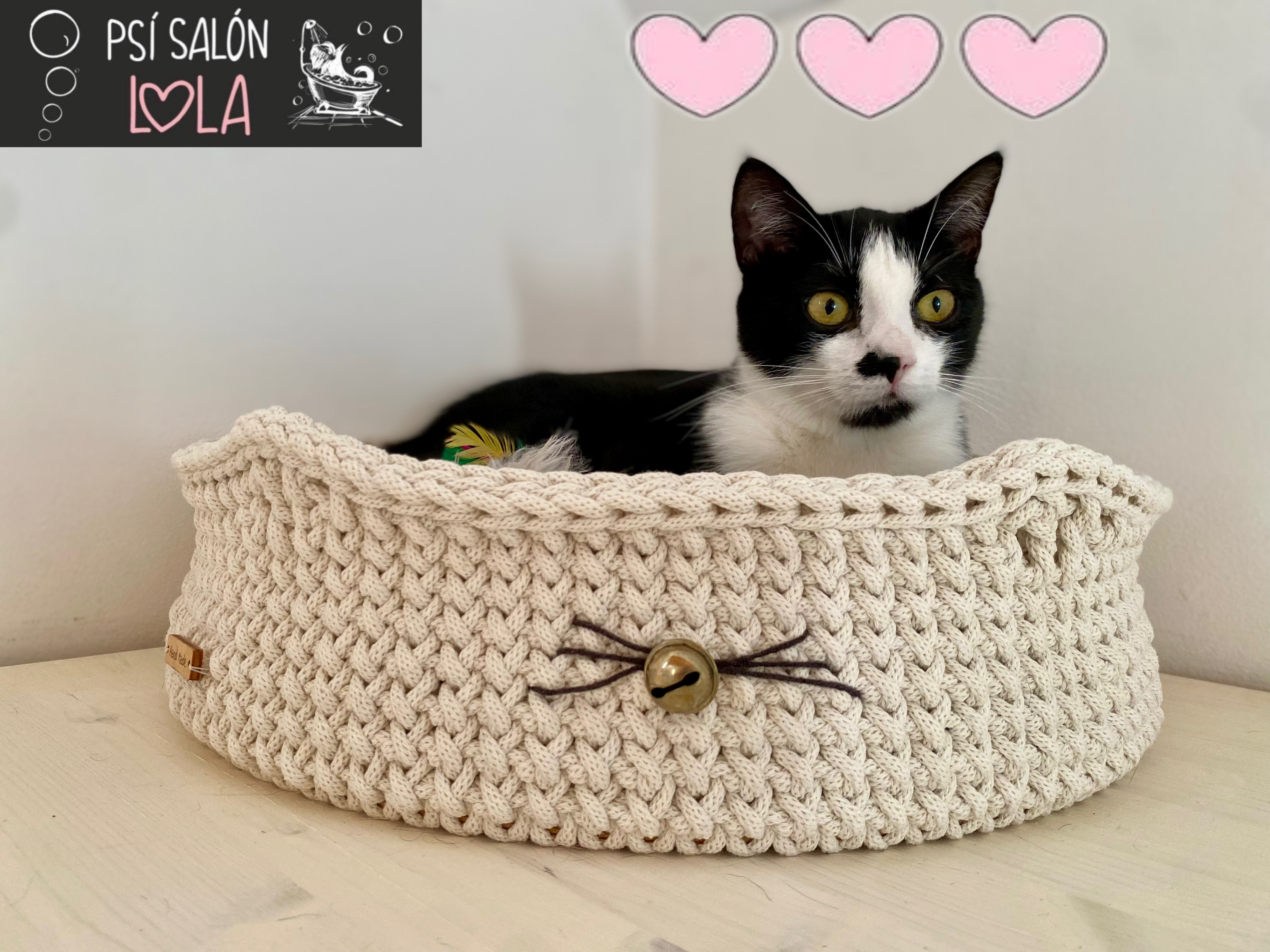 Psí salon Lola foto 5