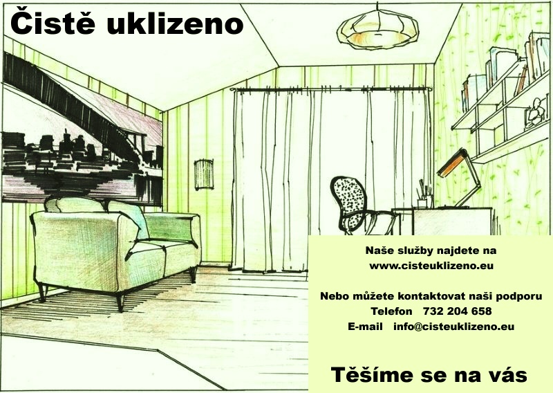 ČISTĚ UKLIZENO foto 1