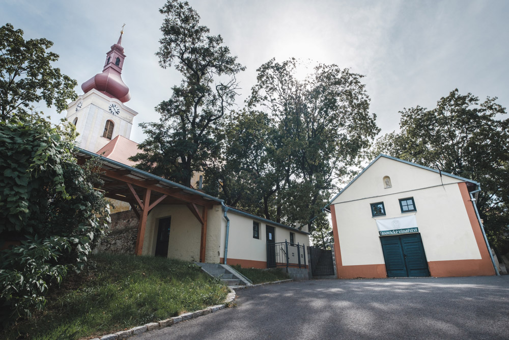 Tasovické vinařství