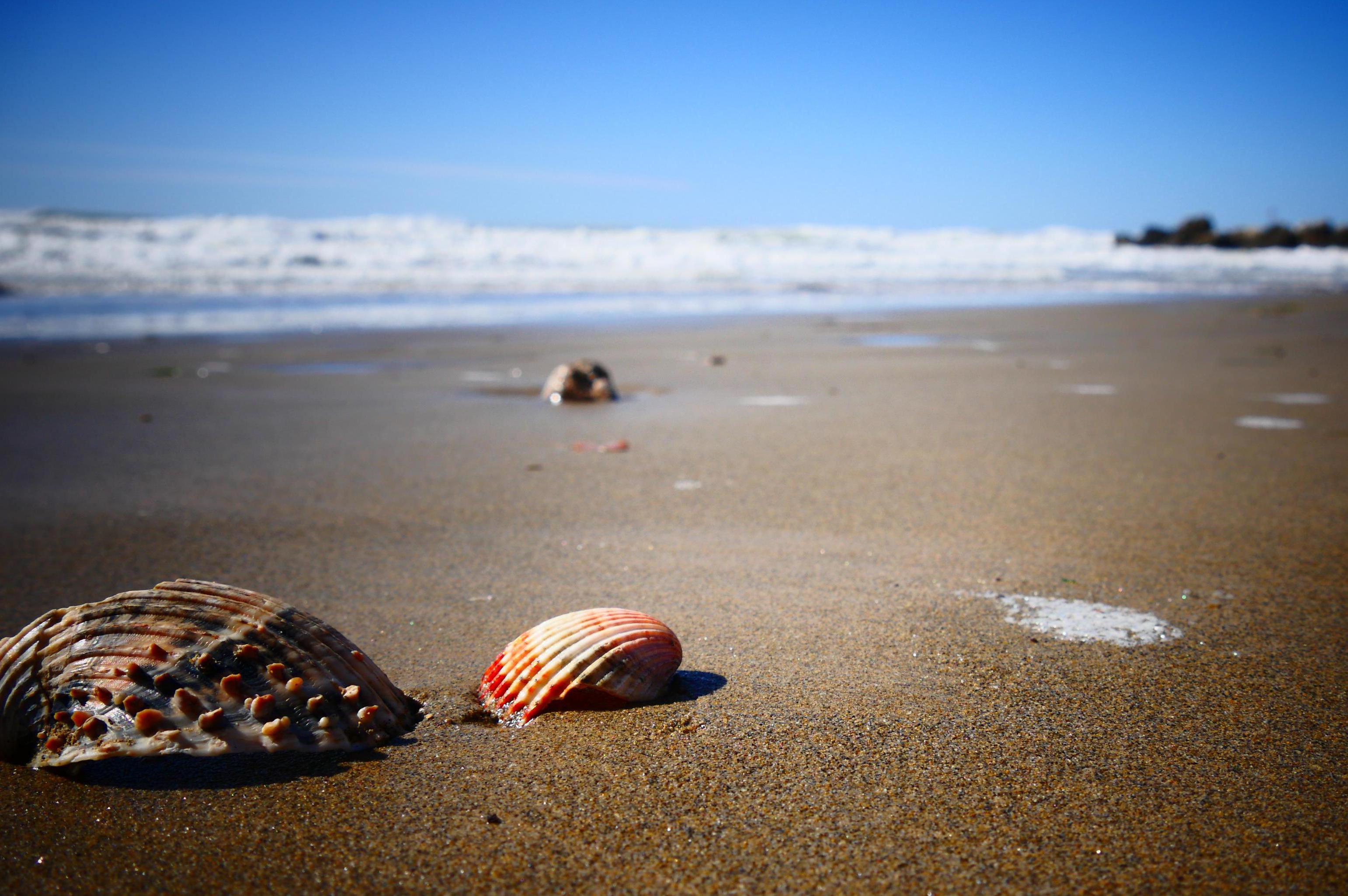 CK Eva Šulcová, s.r.o.
