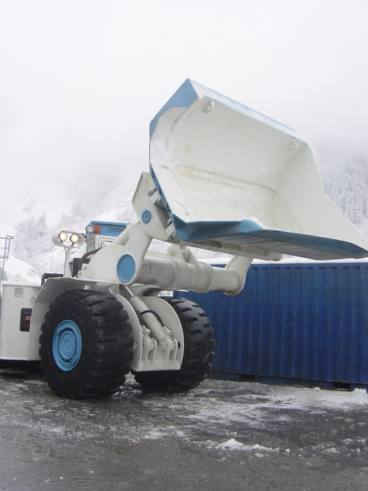 Swissgreen Alfa, s.r.o. foto 2