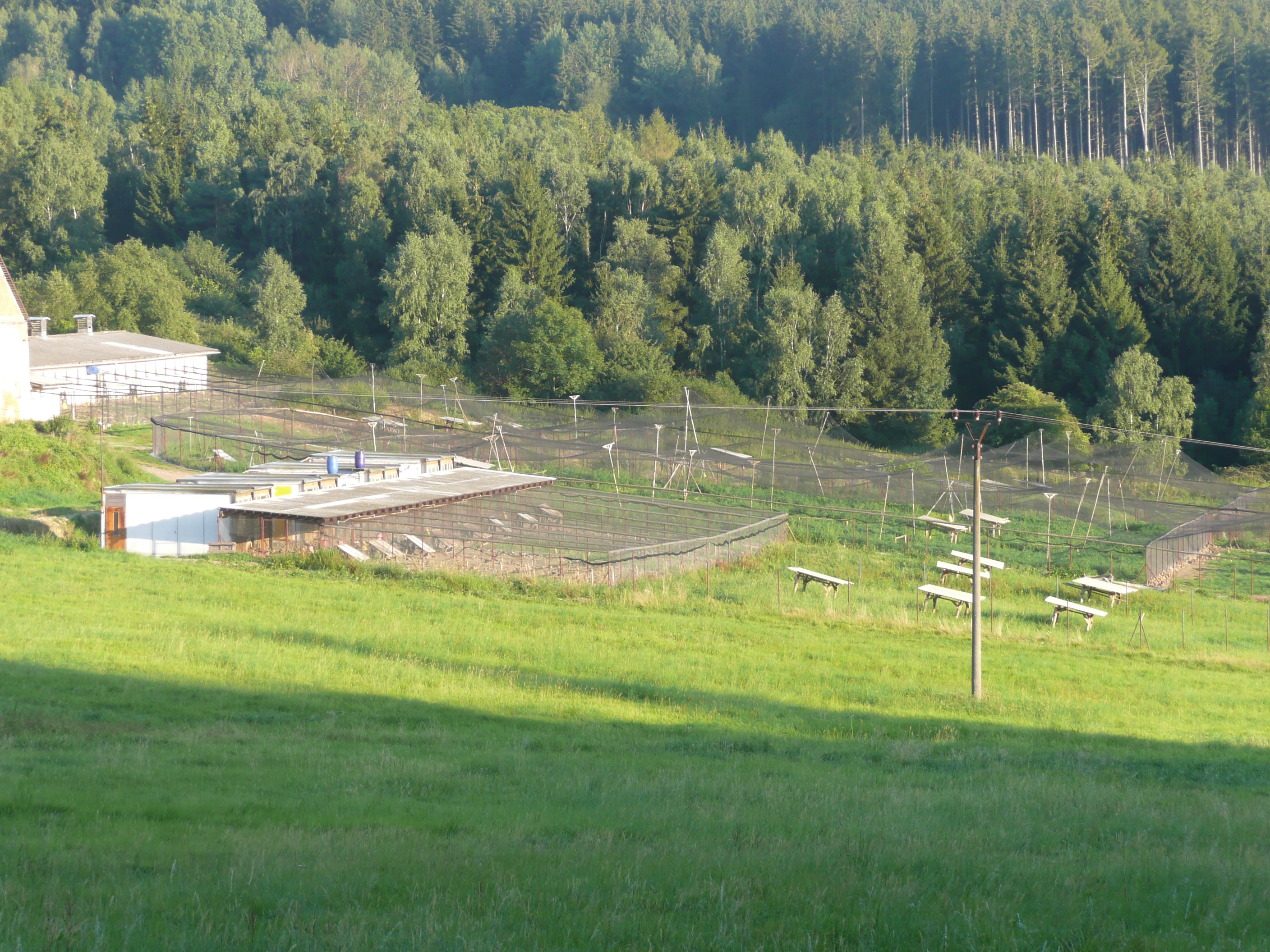 PROLOV s.r.o. - Bažantnice Pohoří foto 6