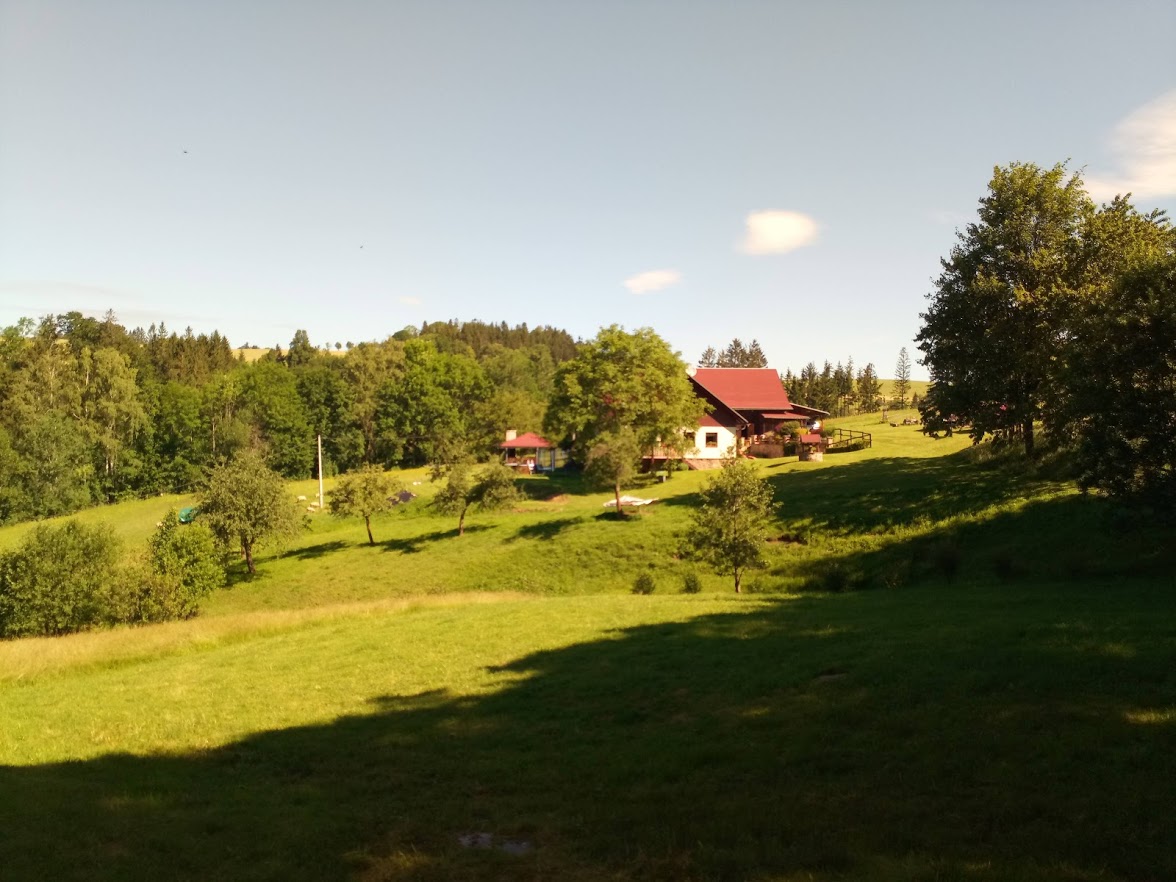 Na samotě u lesa foto 4
