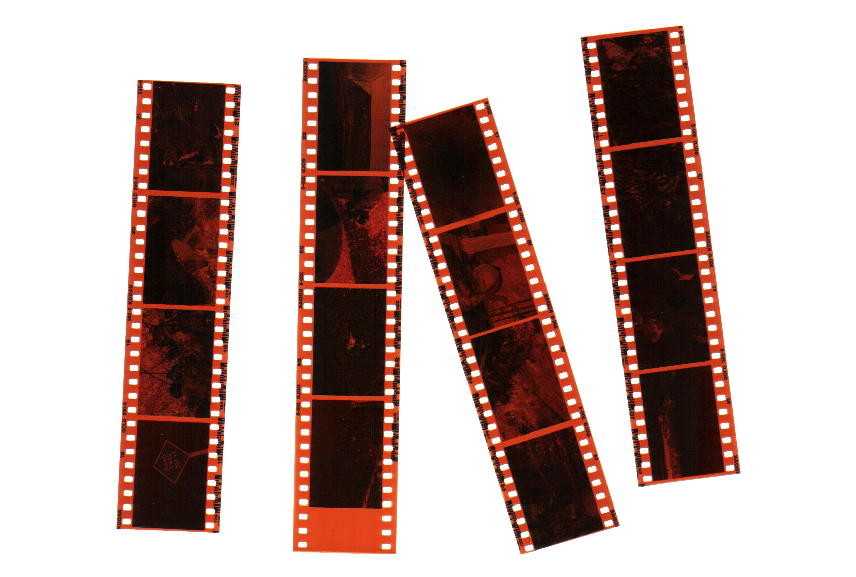 Digitalizace VHS - Ing. Petra Tlachová foto 3