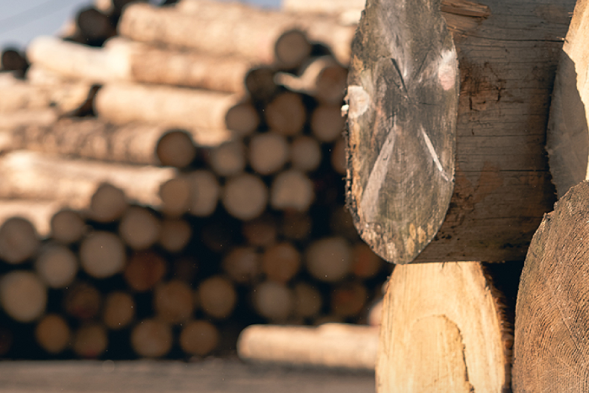 BIOMAC - EKOPALIVO BOHEMIA foto 2