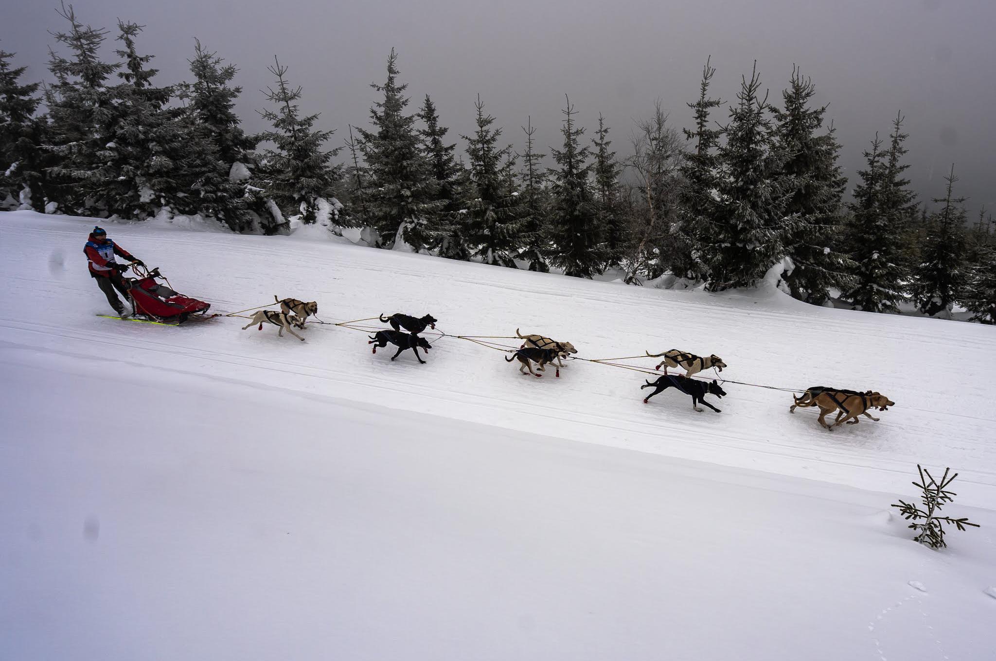 Sportovní klub Krakonoš z.s.