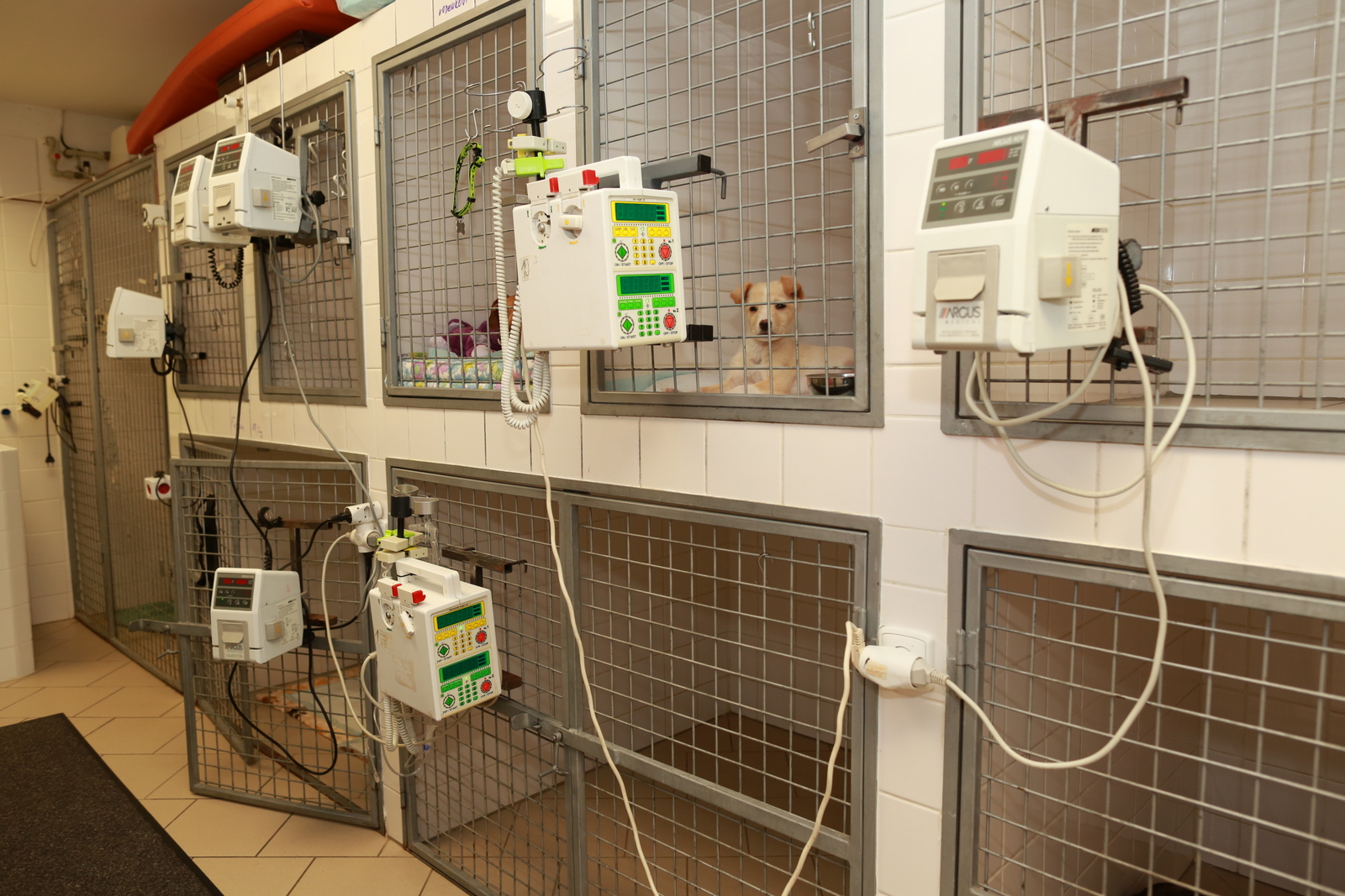 Veterinární klinika Zbraslav foto 4