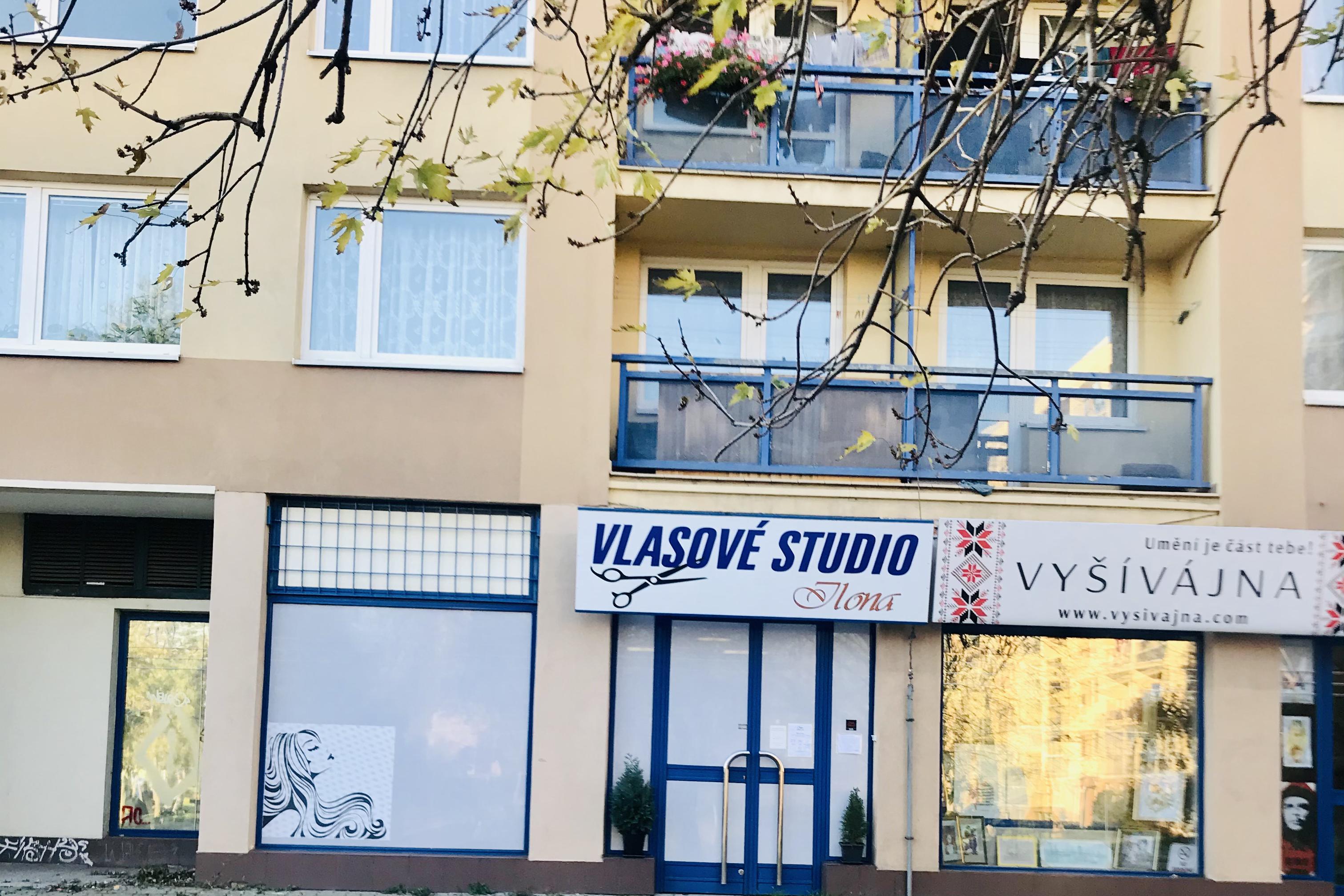 Vlasové studio Ilona