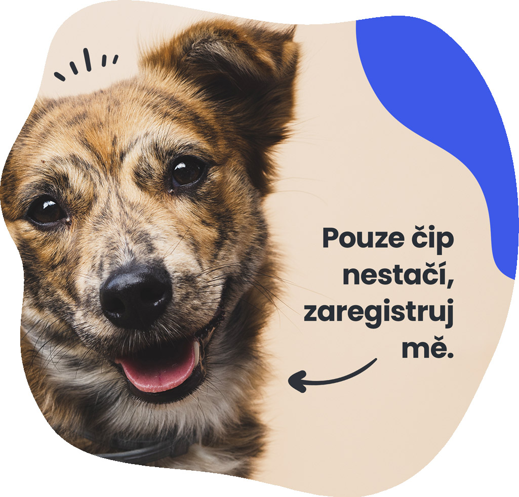 Centrální registr psů - Evidence Psů foto 3