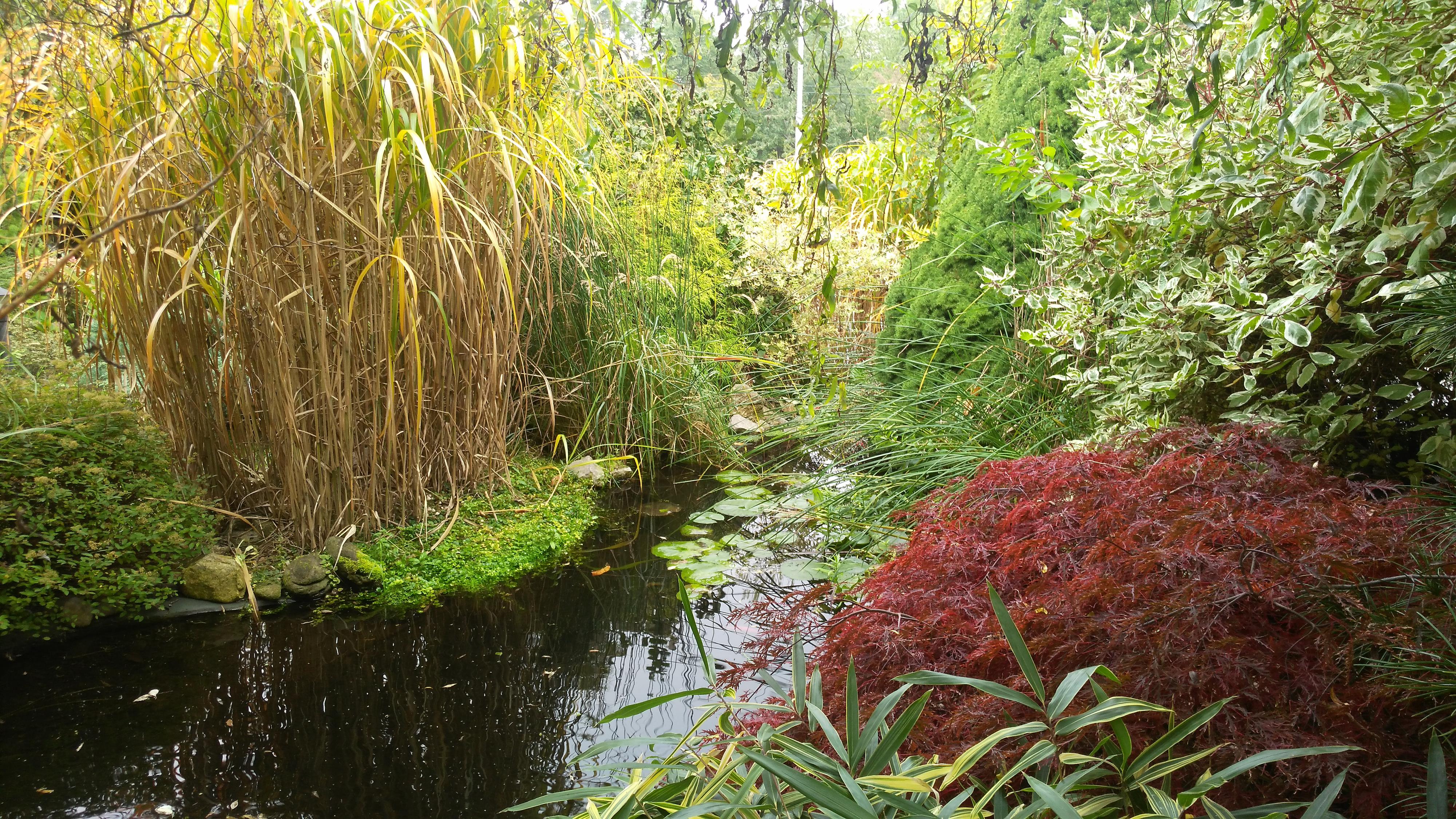 Bonsai - zahrada Marta Klimentová foto 4