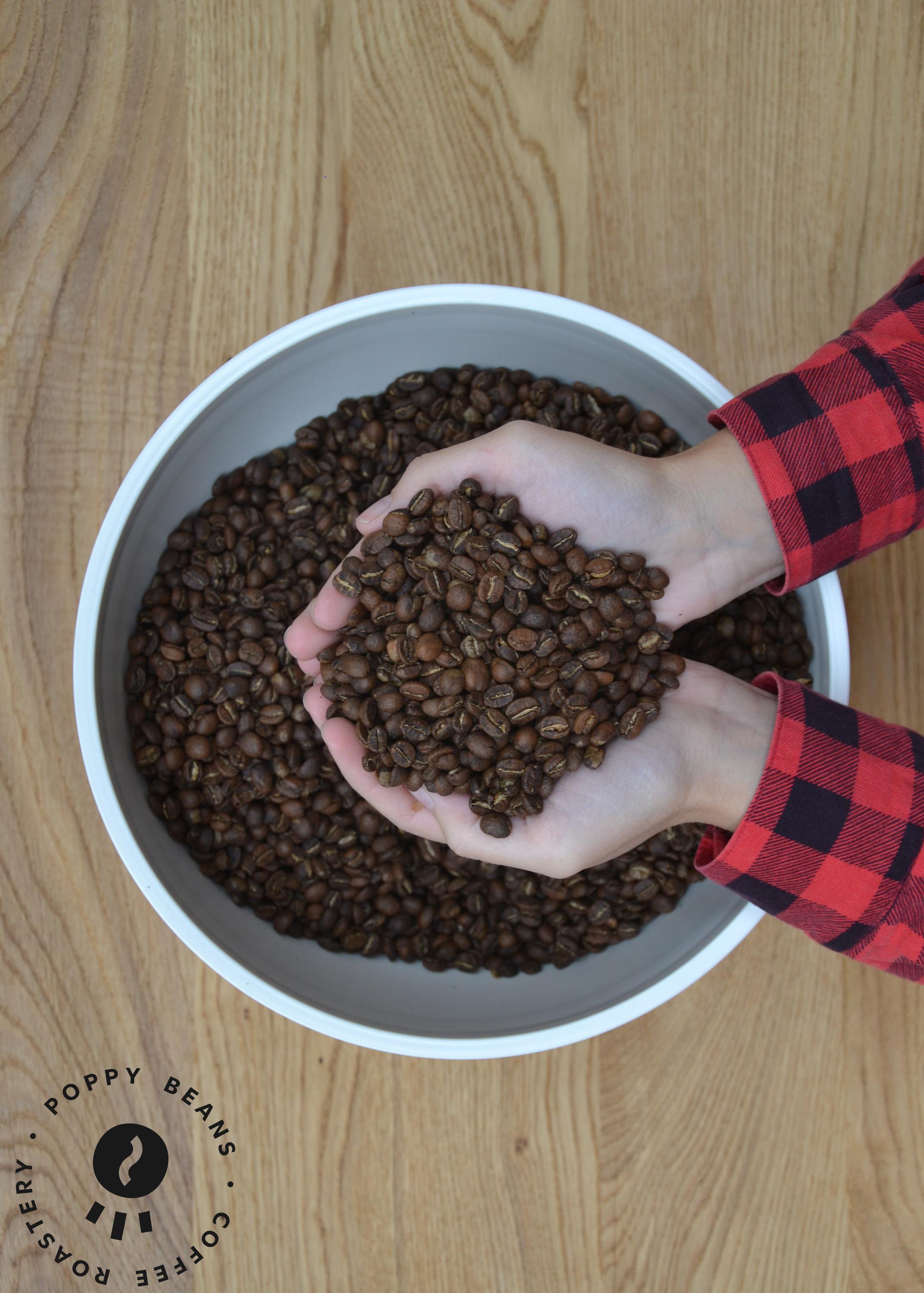 Poppy Beans s.r.o. foto 2