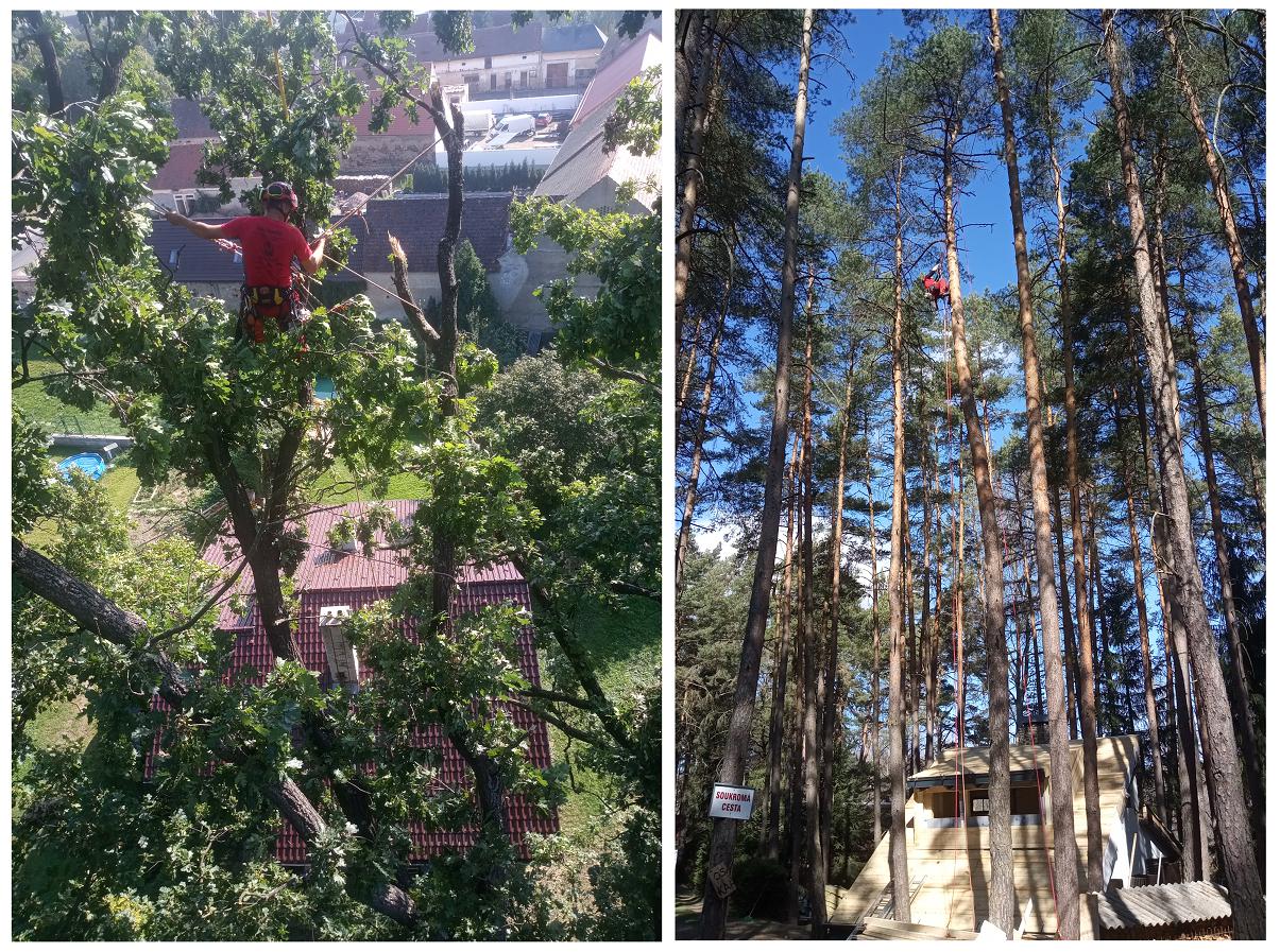 Arbo Plzeň - Pavel Krejčí foto 4