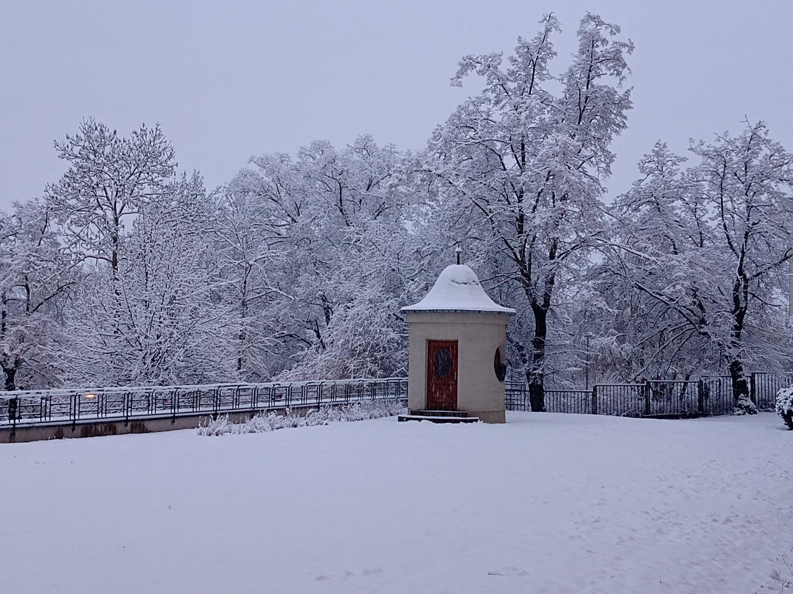 Univerzita Jana Evangelisty Purkyně - Pedagogická fakulta foto 4