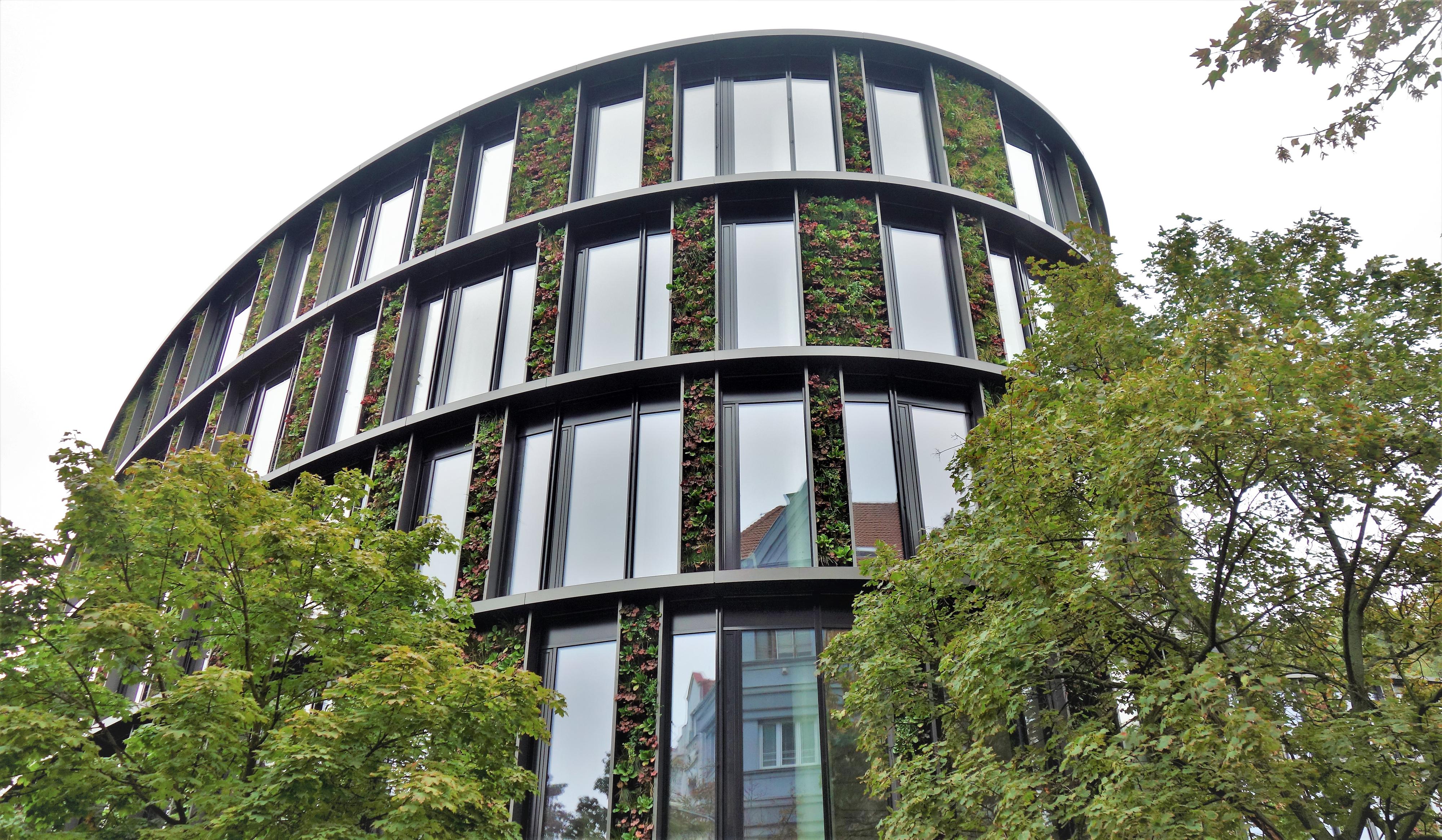 Butterfly - AFI Karlín foto 6