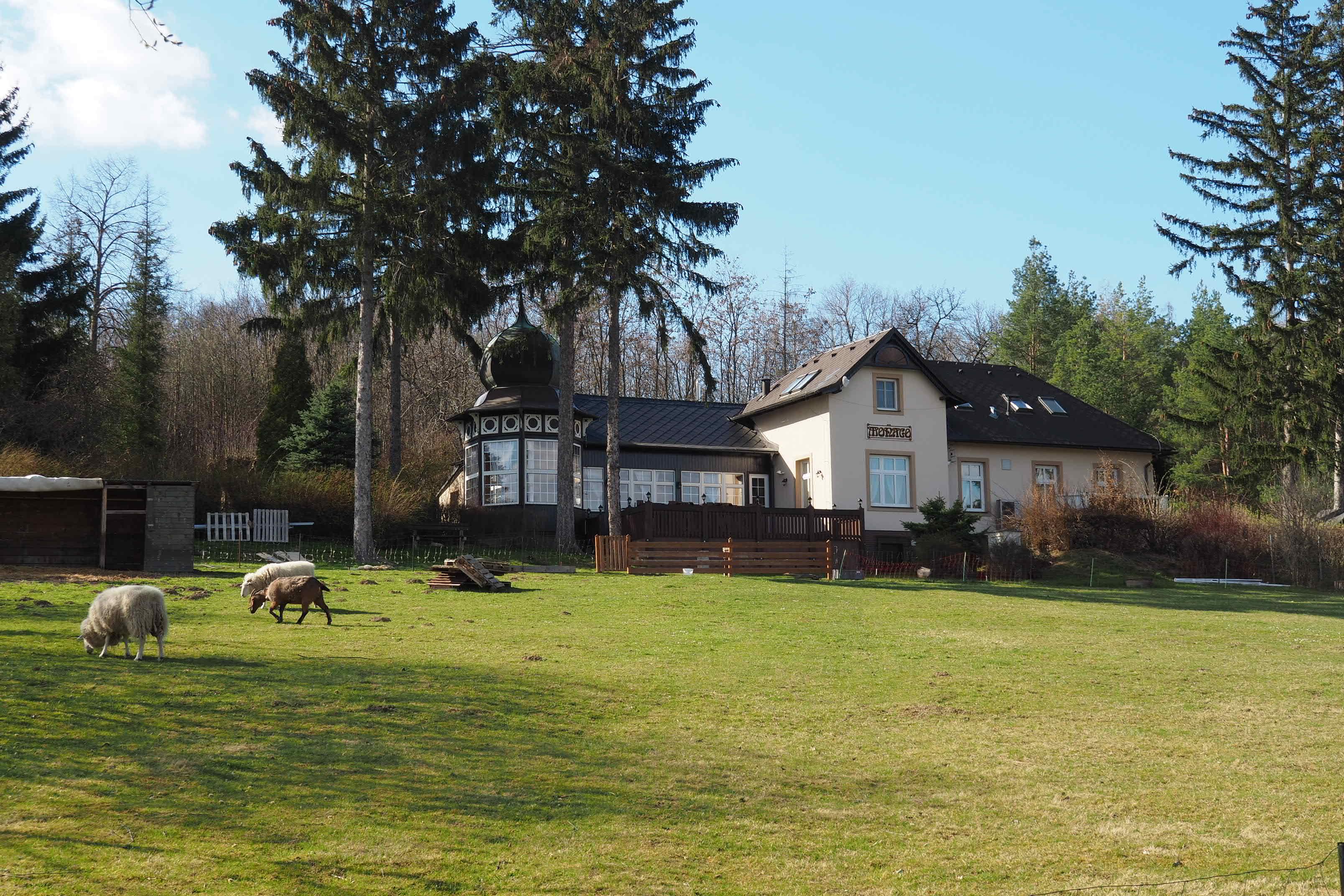 Restaurace Monaco foto 5