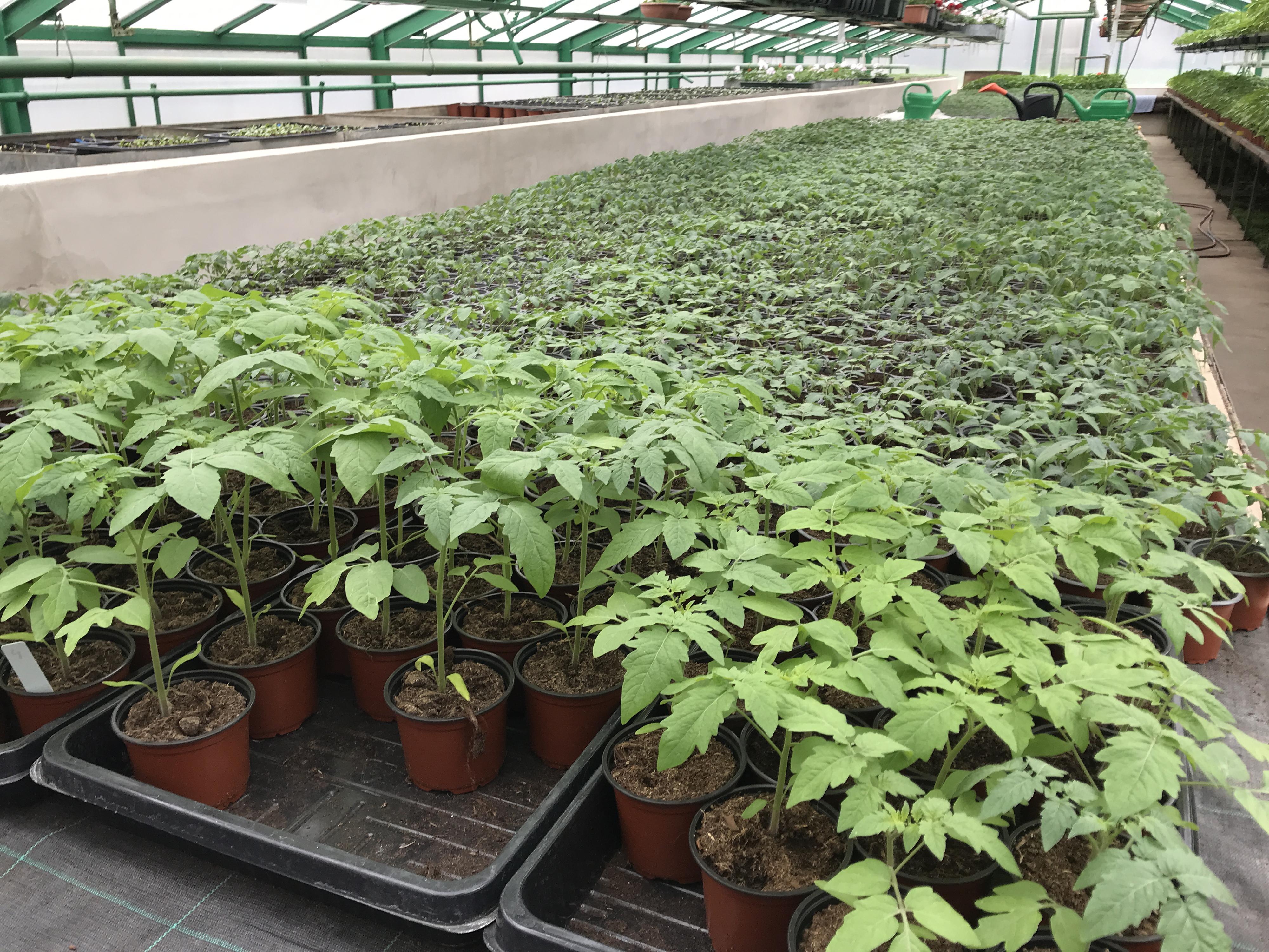 Zahradnictví SŠZe Přerov foto 4