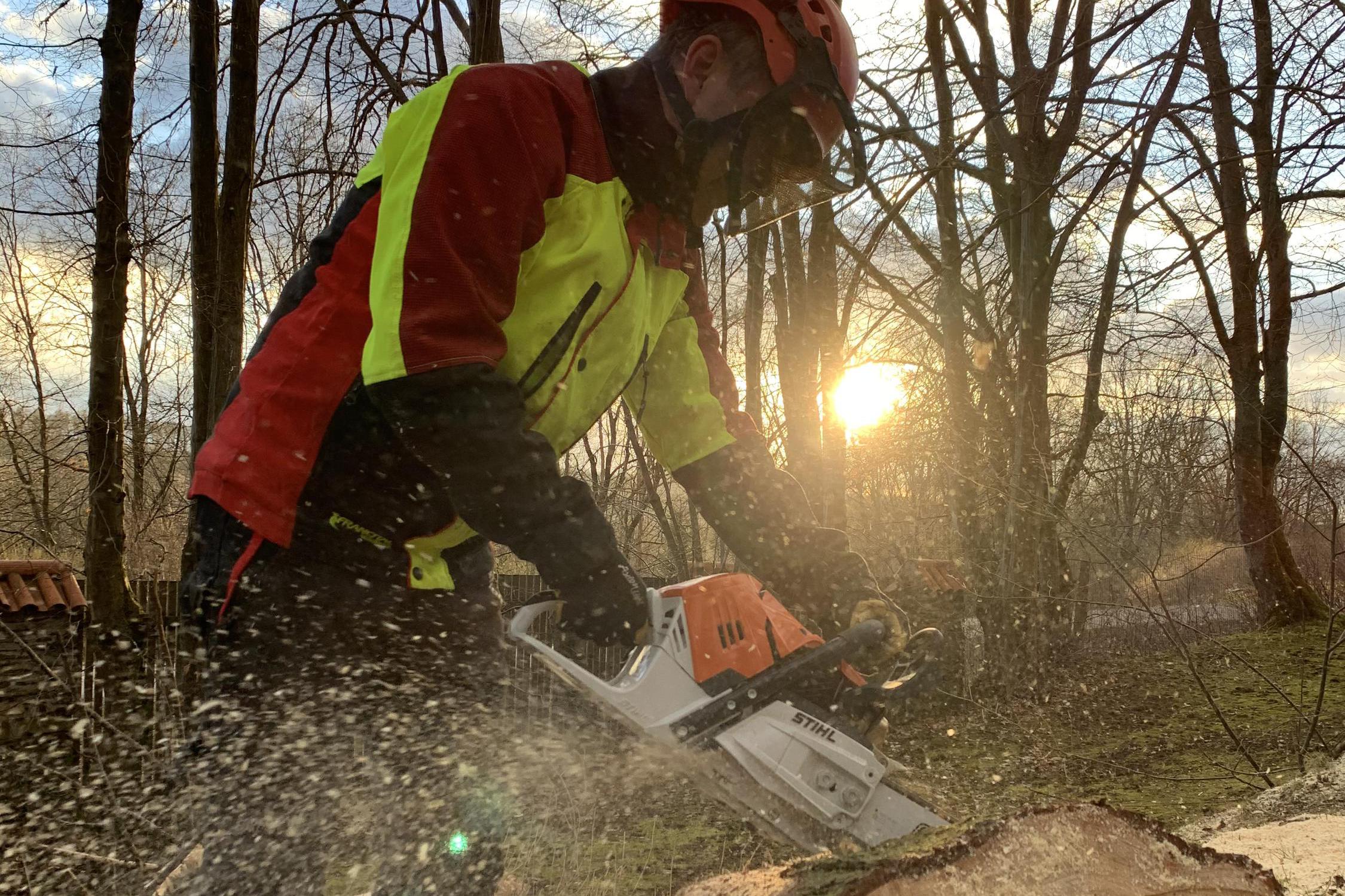 ArboSOS - Rizikové kácení stromu a výškové práce