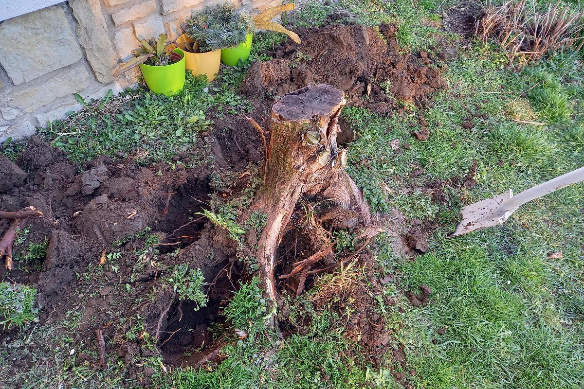 Hodinový manžel - Josef Shejbal