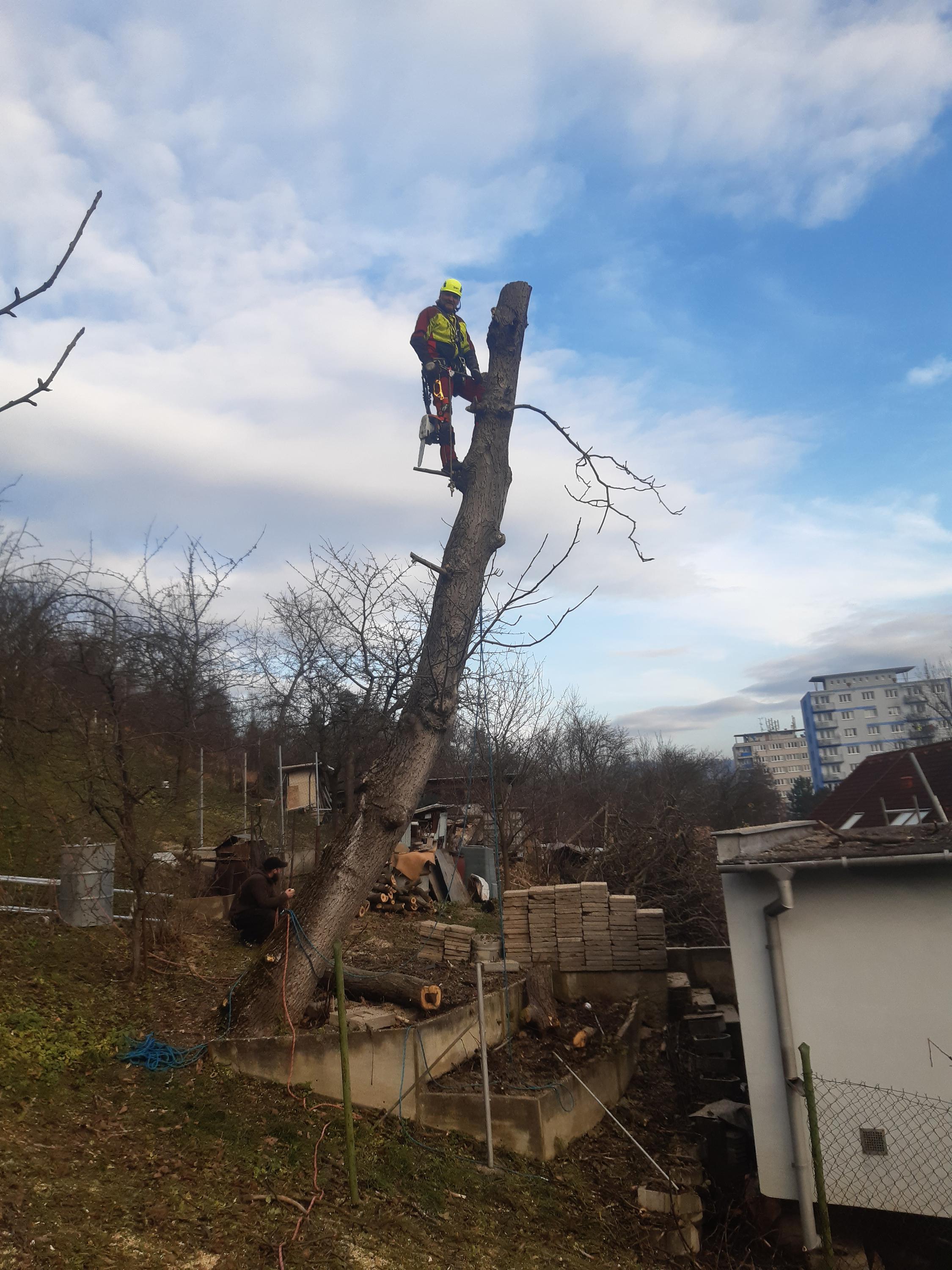 Radek Košatka foto 2