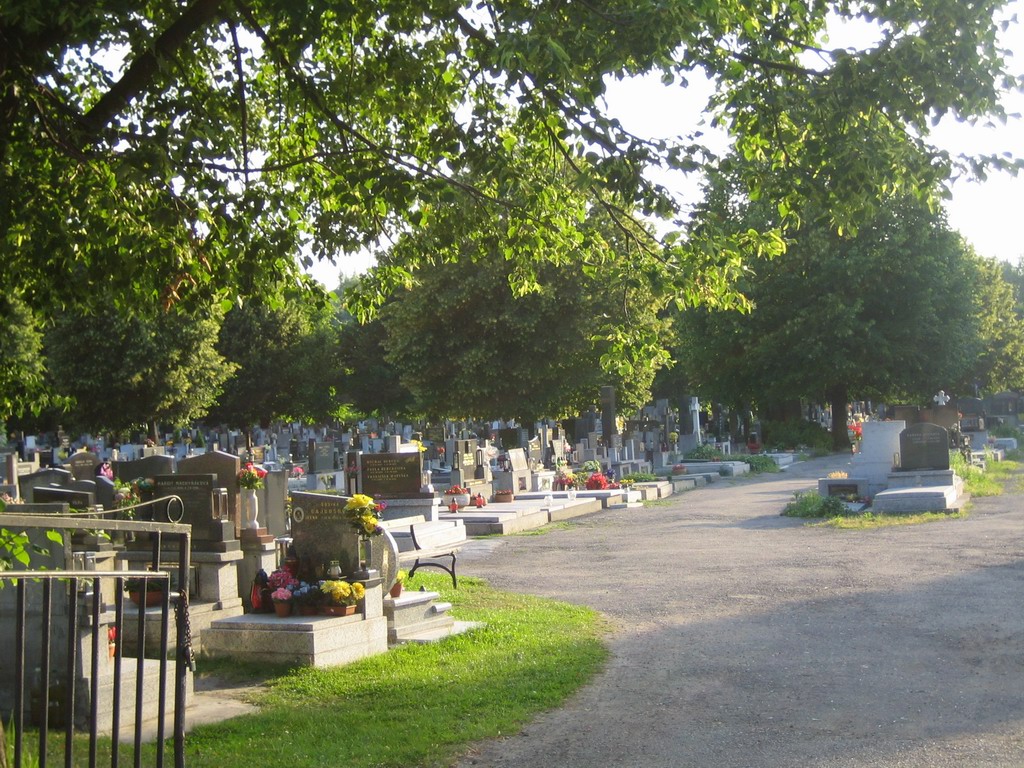 Hřbitov Starý Bohumín