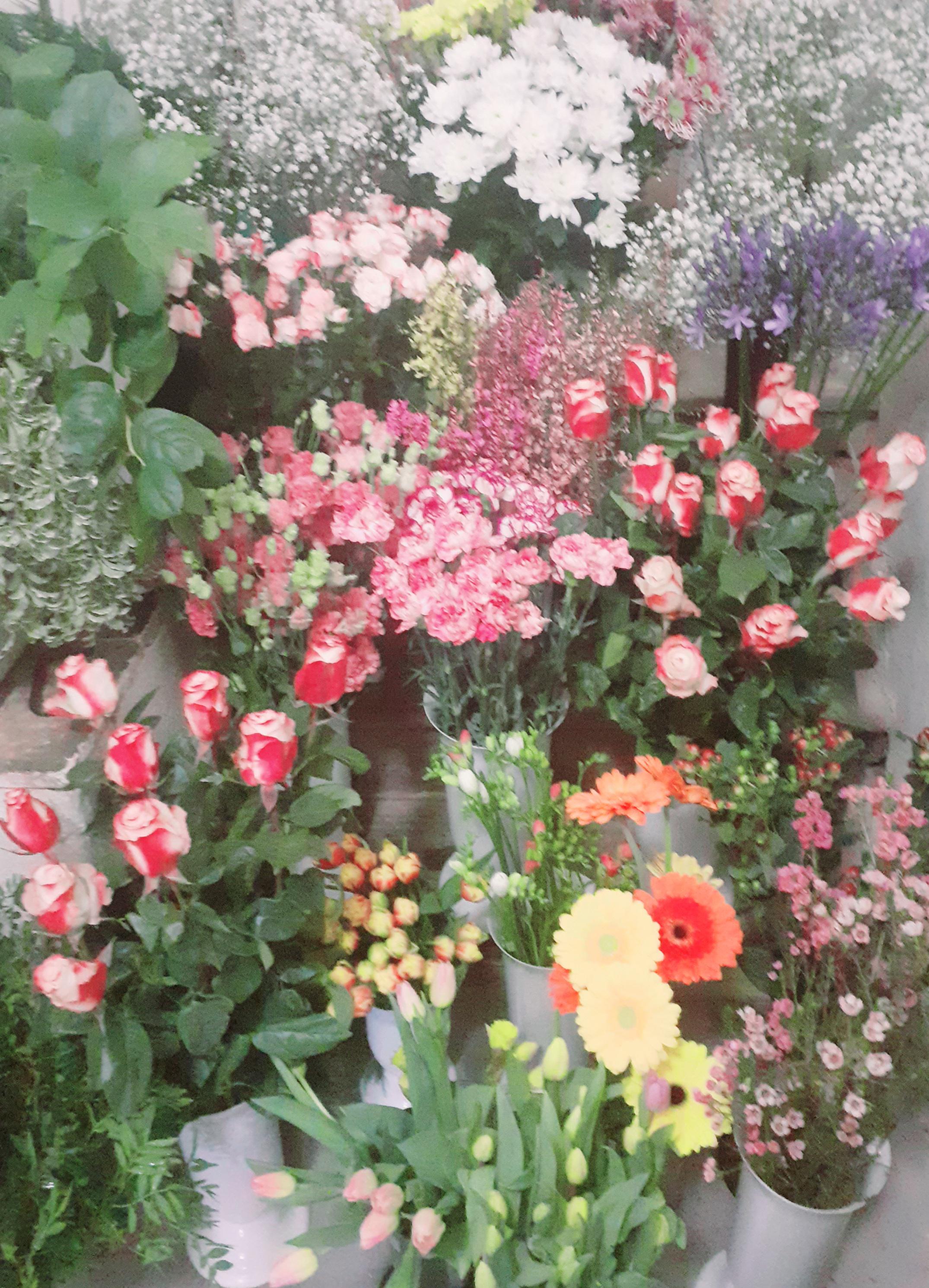 Prodej květin Veronika Šimánková foto 4