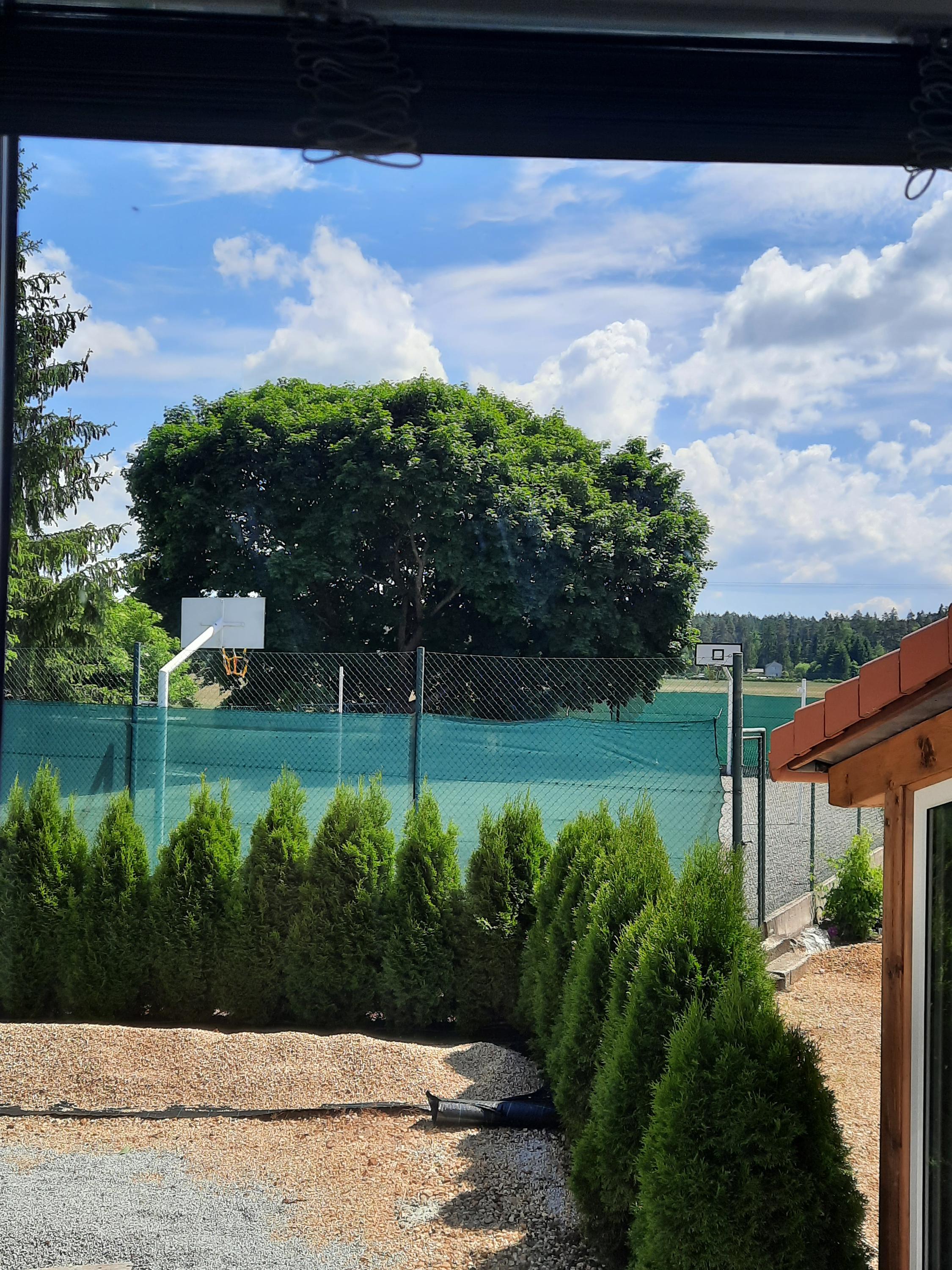 Václav Matoušek foto 6