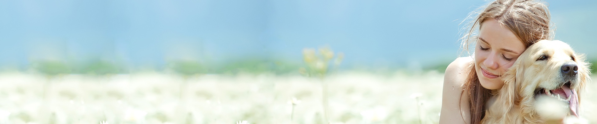 Úvodní obrázek Memory Pet Krematorium