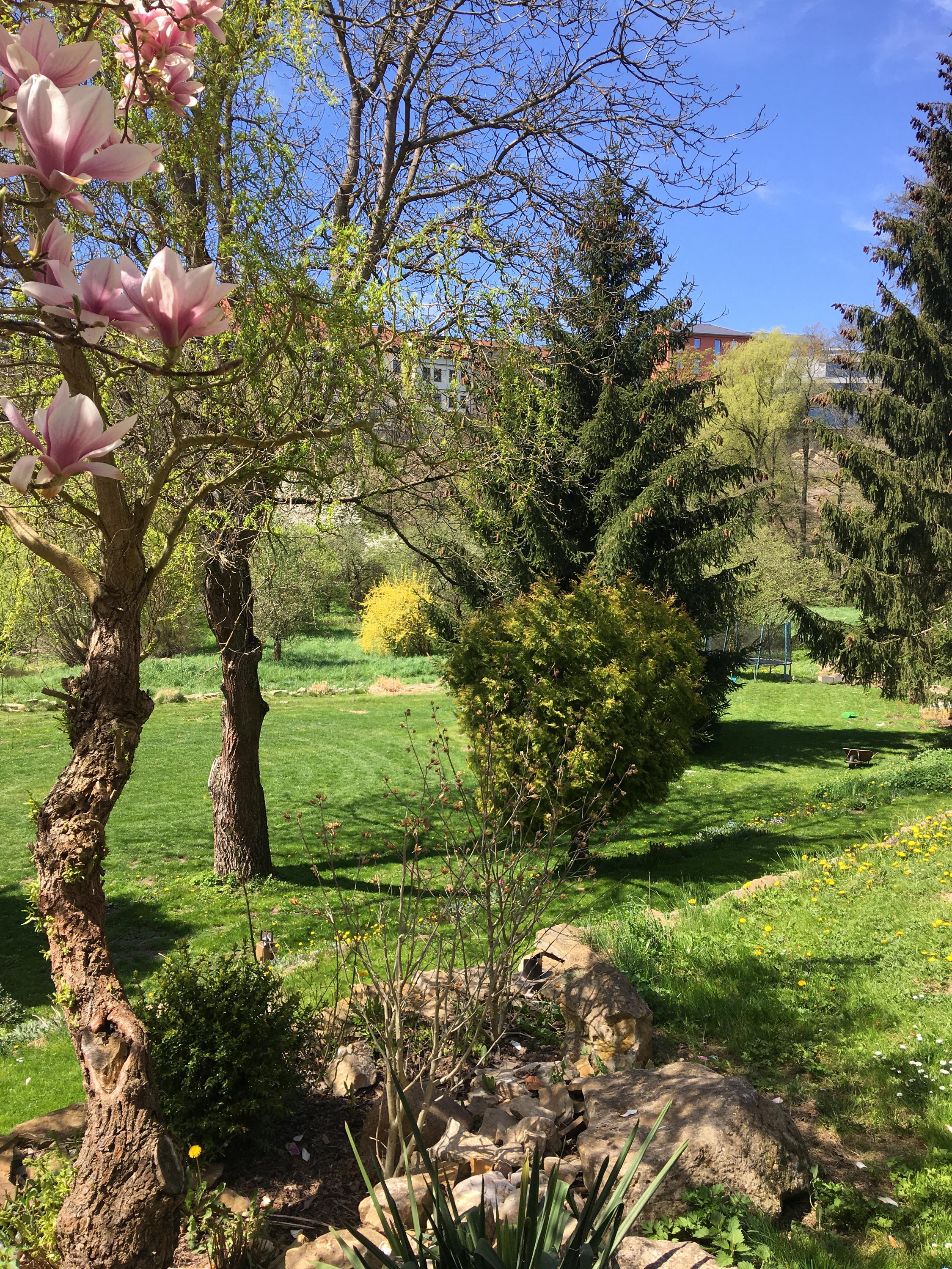 Penzion Na Hradčanech foto 4