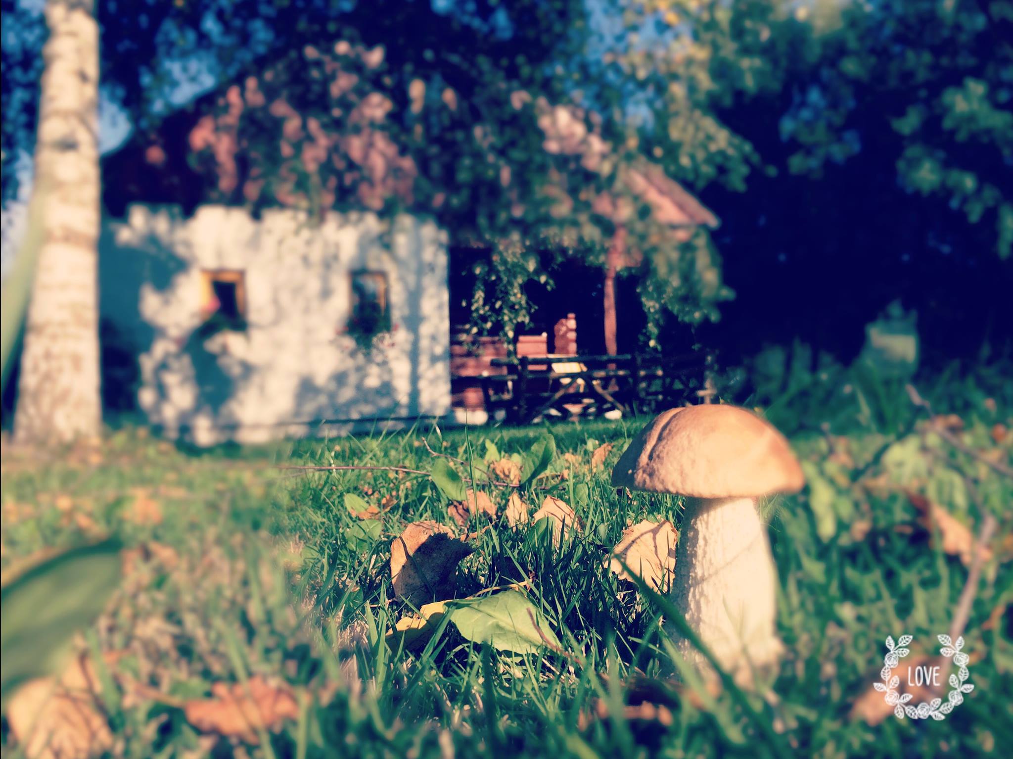 Šumavské Roubenky foto 6