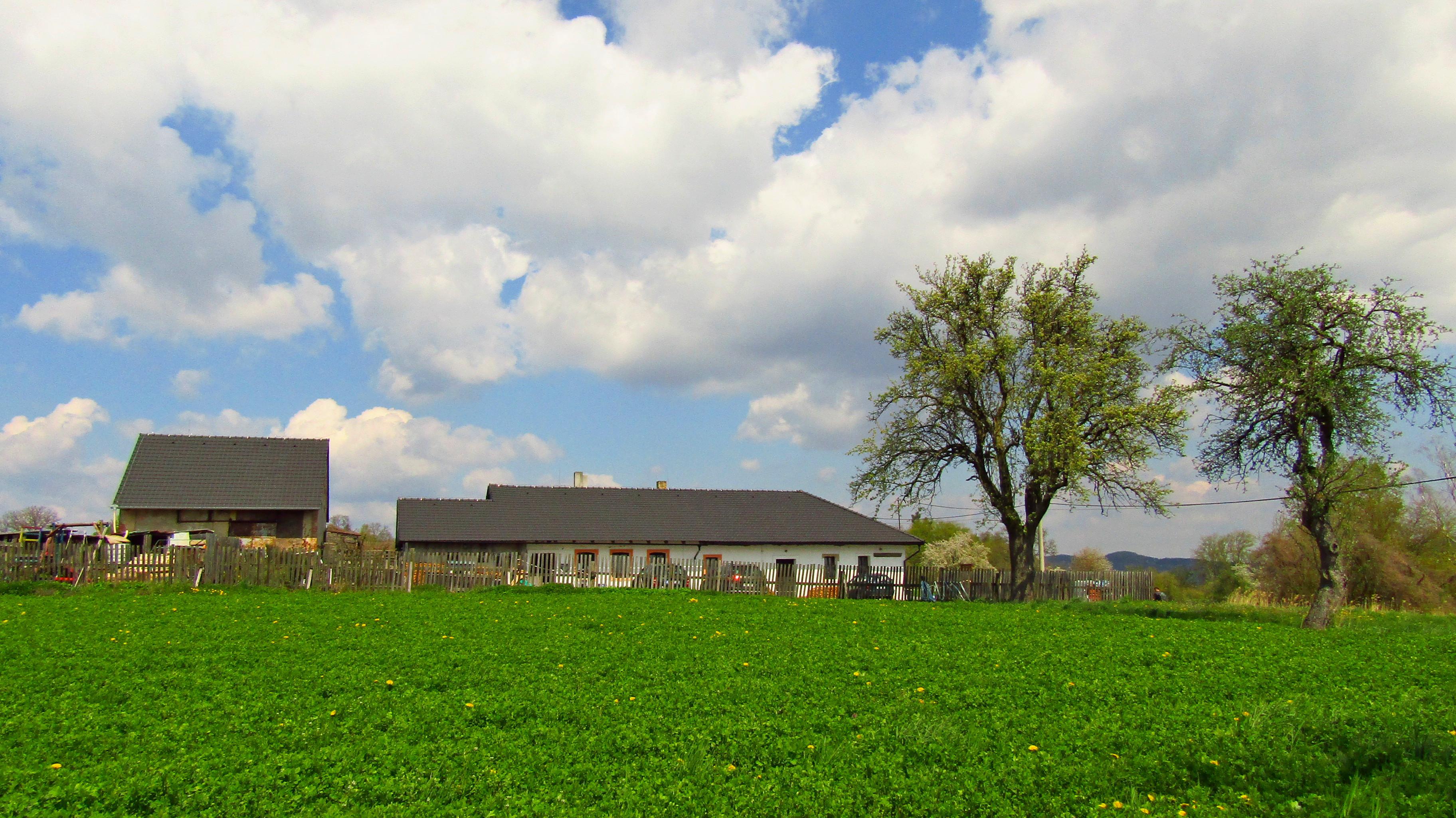 Hospůdka Romanov foto 6