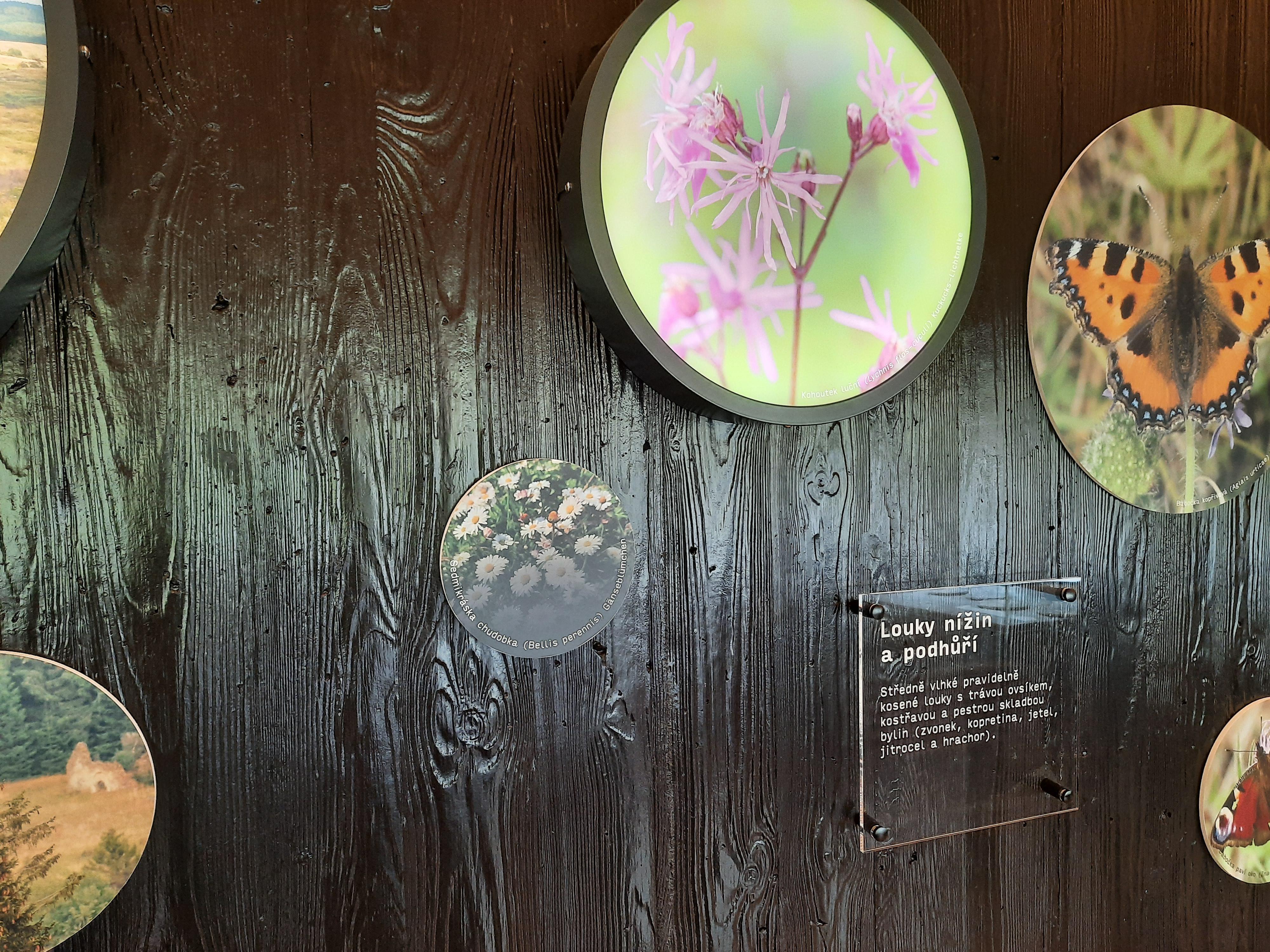 Návštěvnické středisko Olšina foto 6