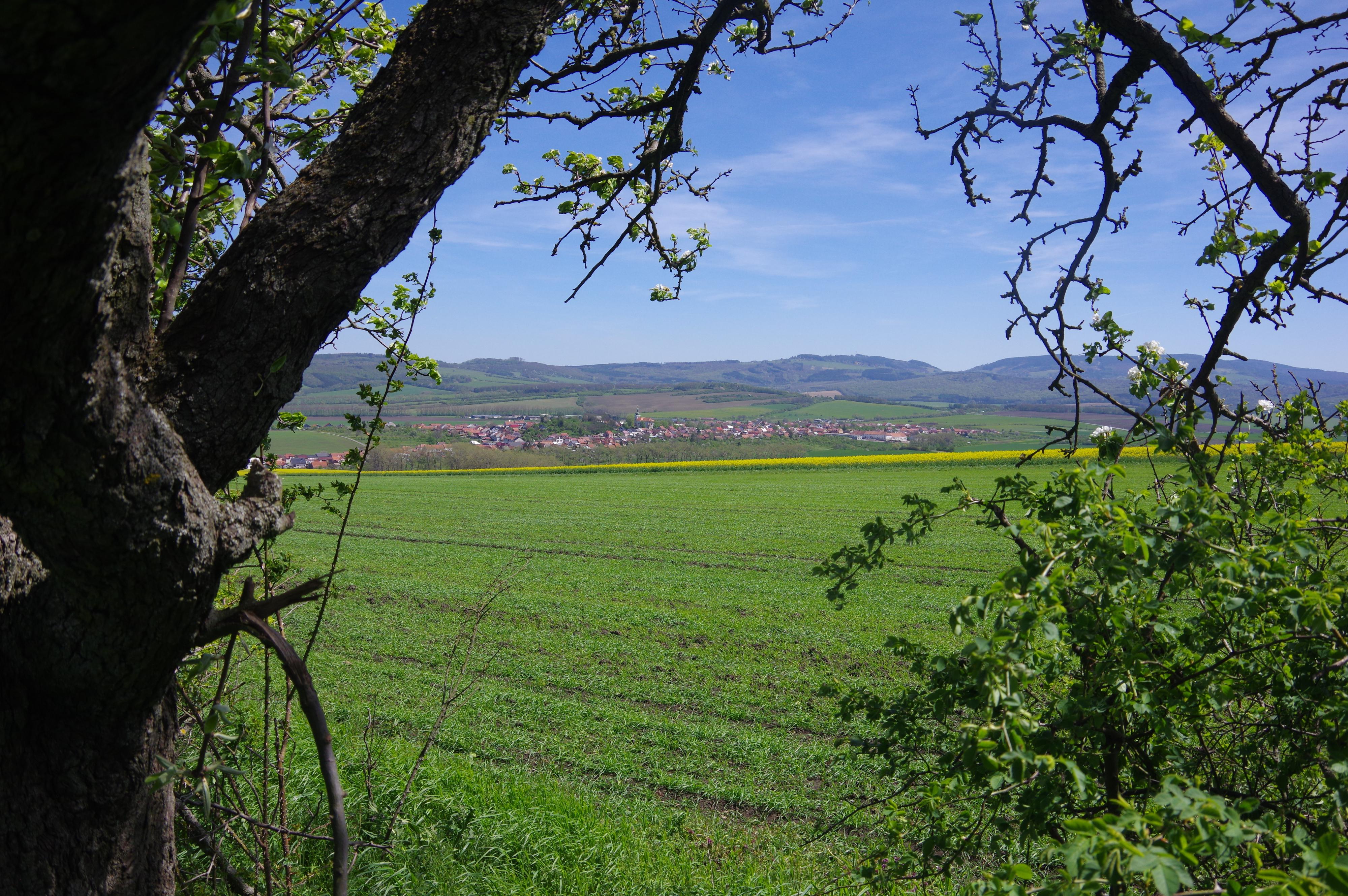 Bánov - obecní úřad foto 3