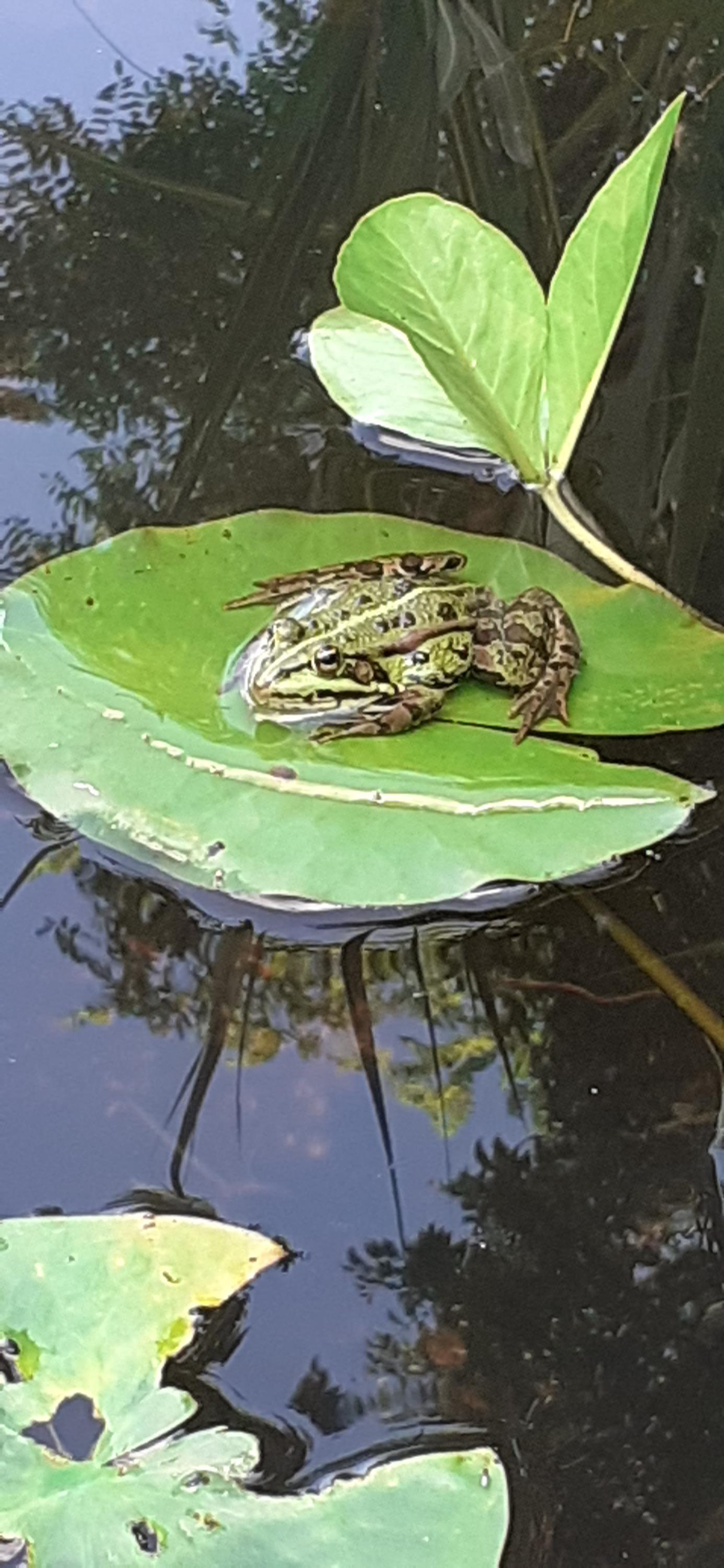 Penzion Vyhlídka foto 6