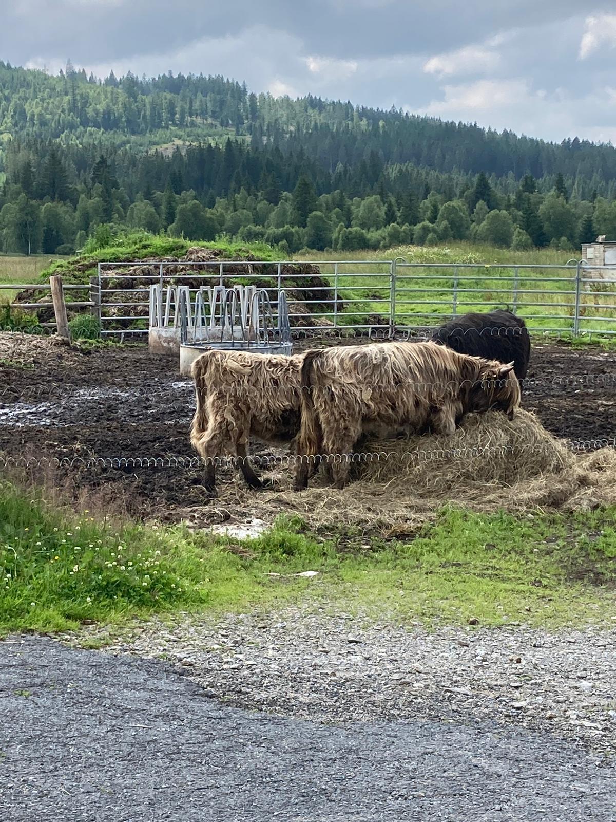 Hospoda U Krámu foto 3