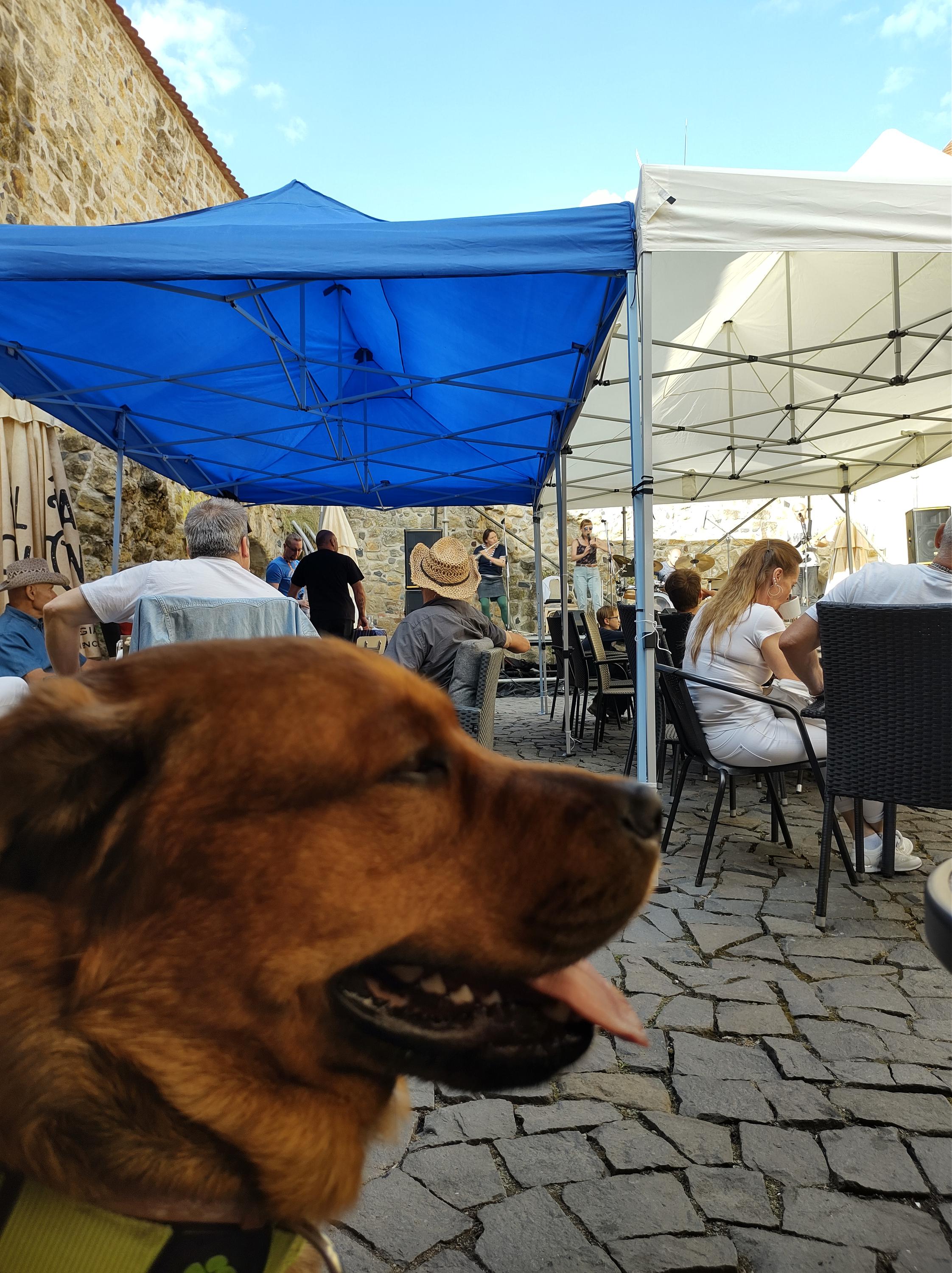 Hradní Kavárna Úštěk foto 5