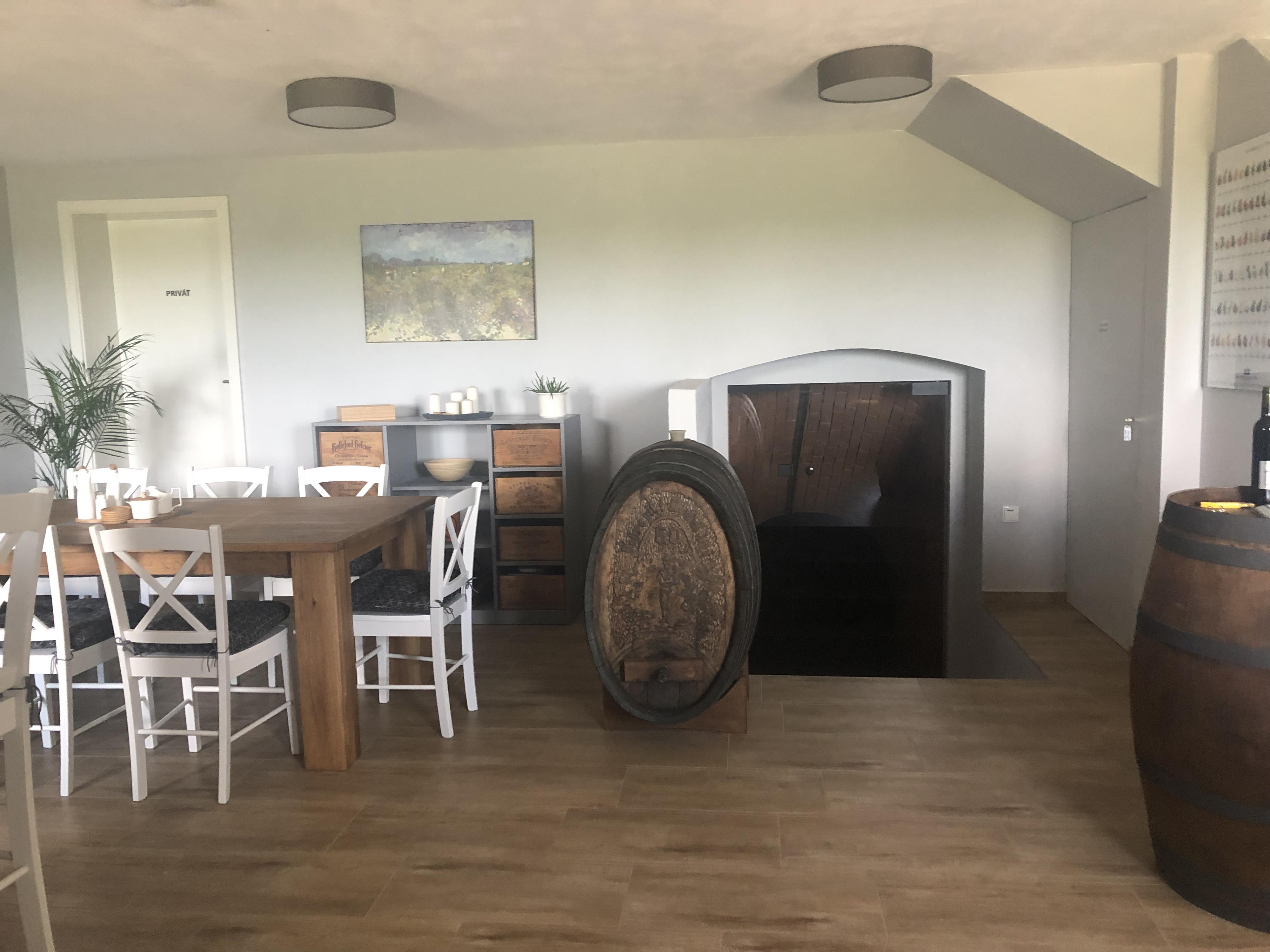 Ubytování Ve Vinici foto 4