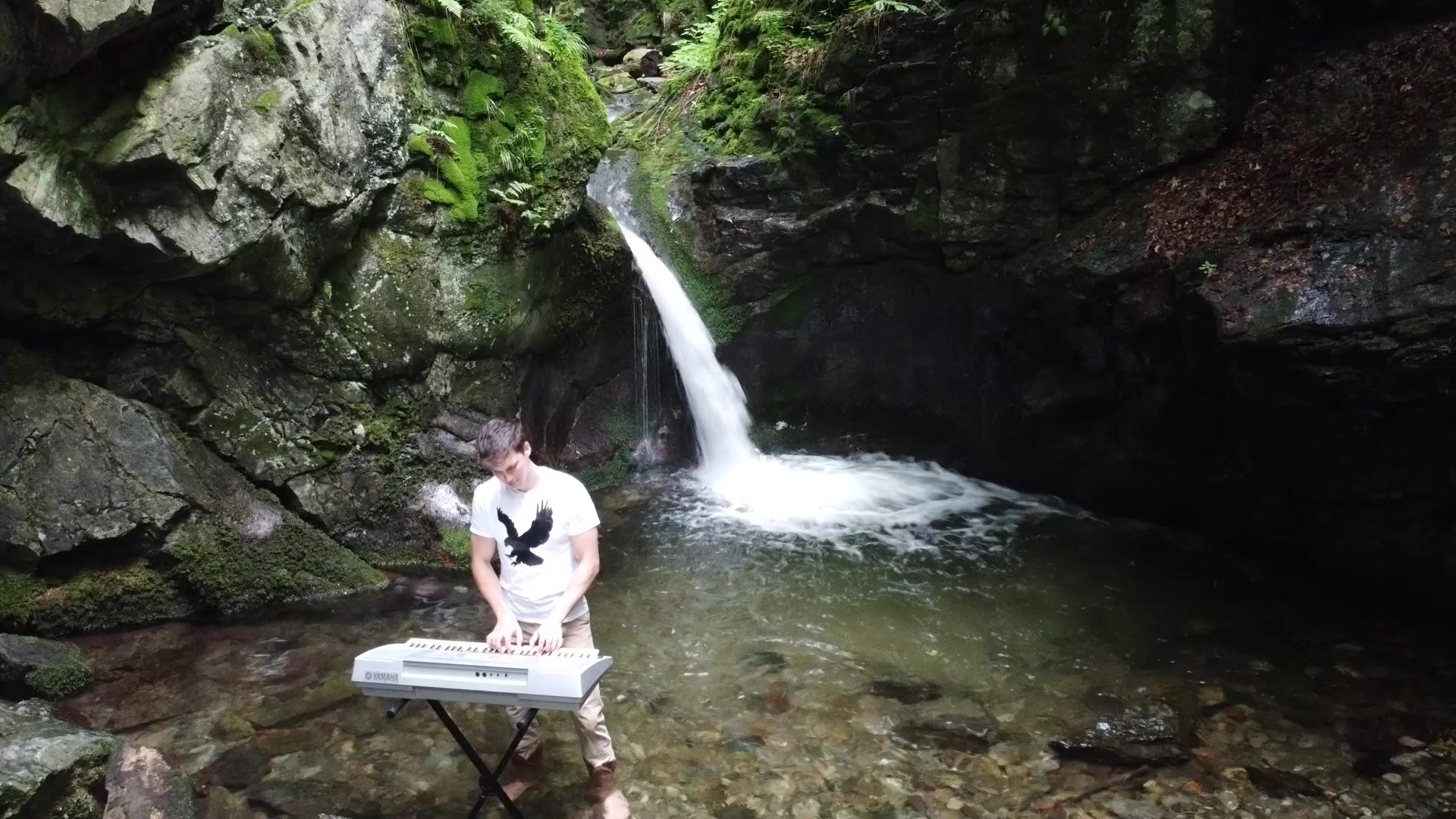 Ubytování U Černého orla foto 2 (náhled videa)
